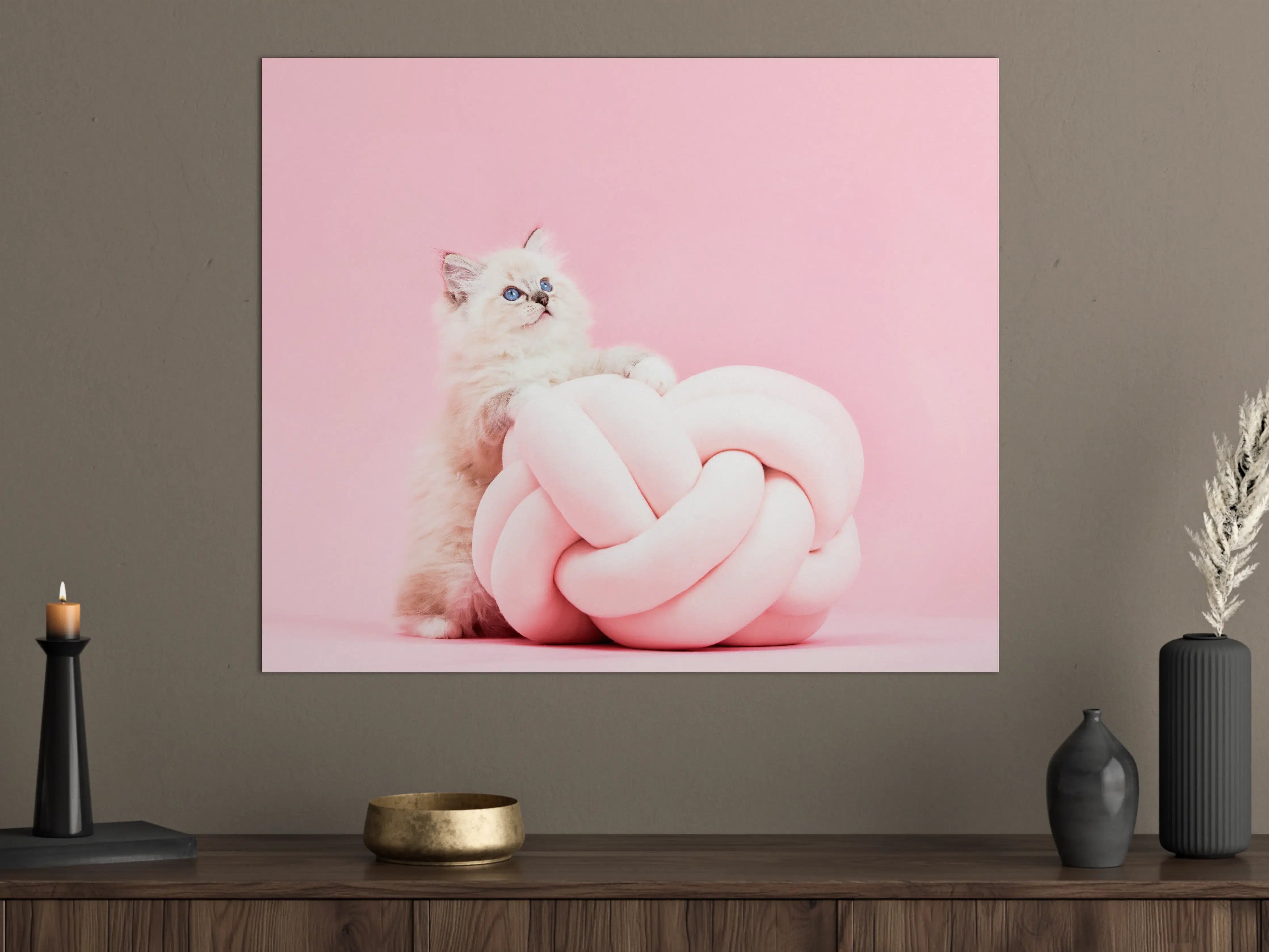 Große Wandbilder - Ragdoll Katze auf Pinken Hintergrund