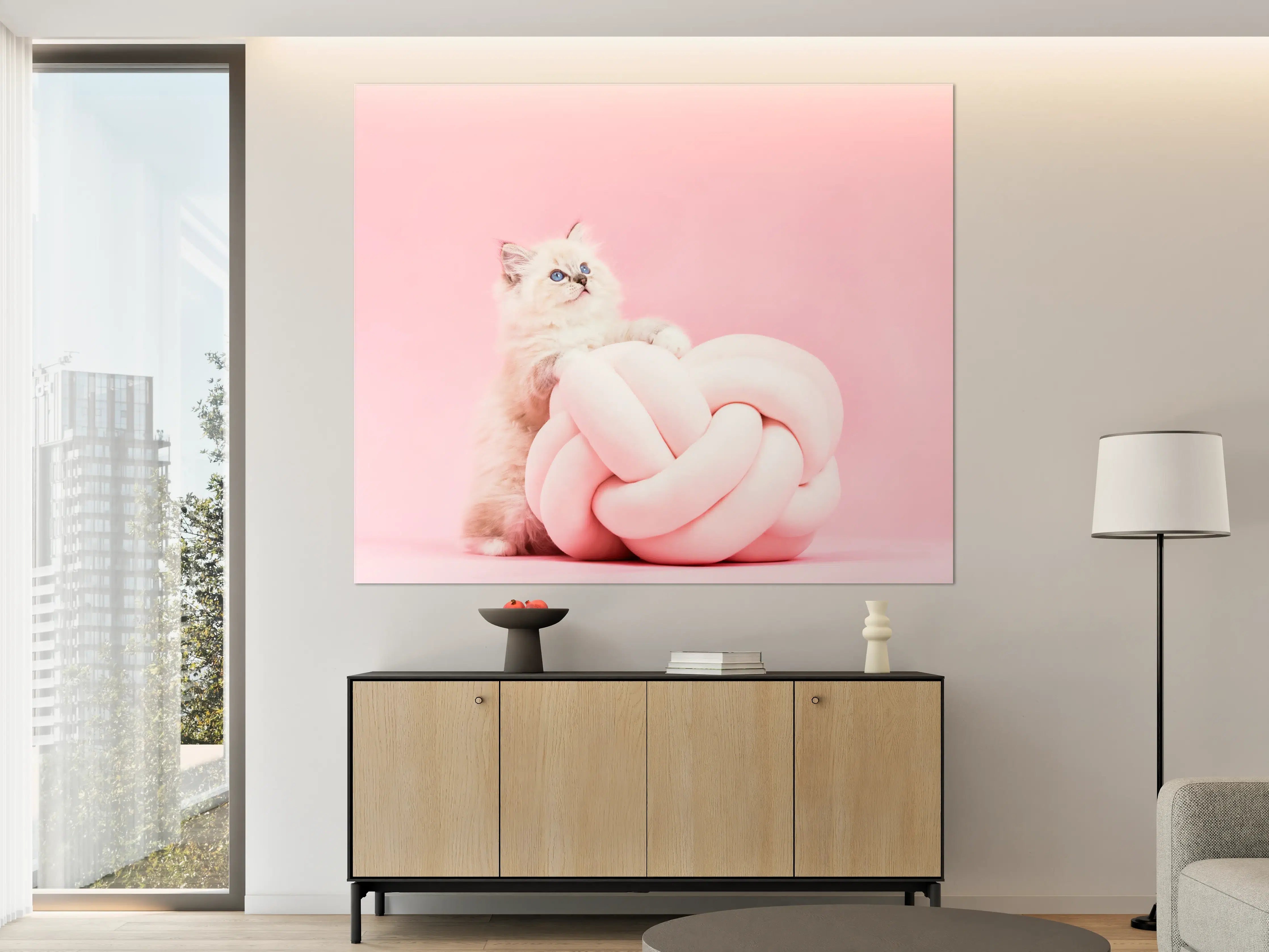 Große Wandbilder - Ragdoll Katze auf Pinken Hintergrund