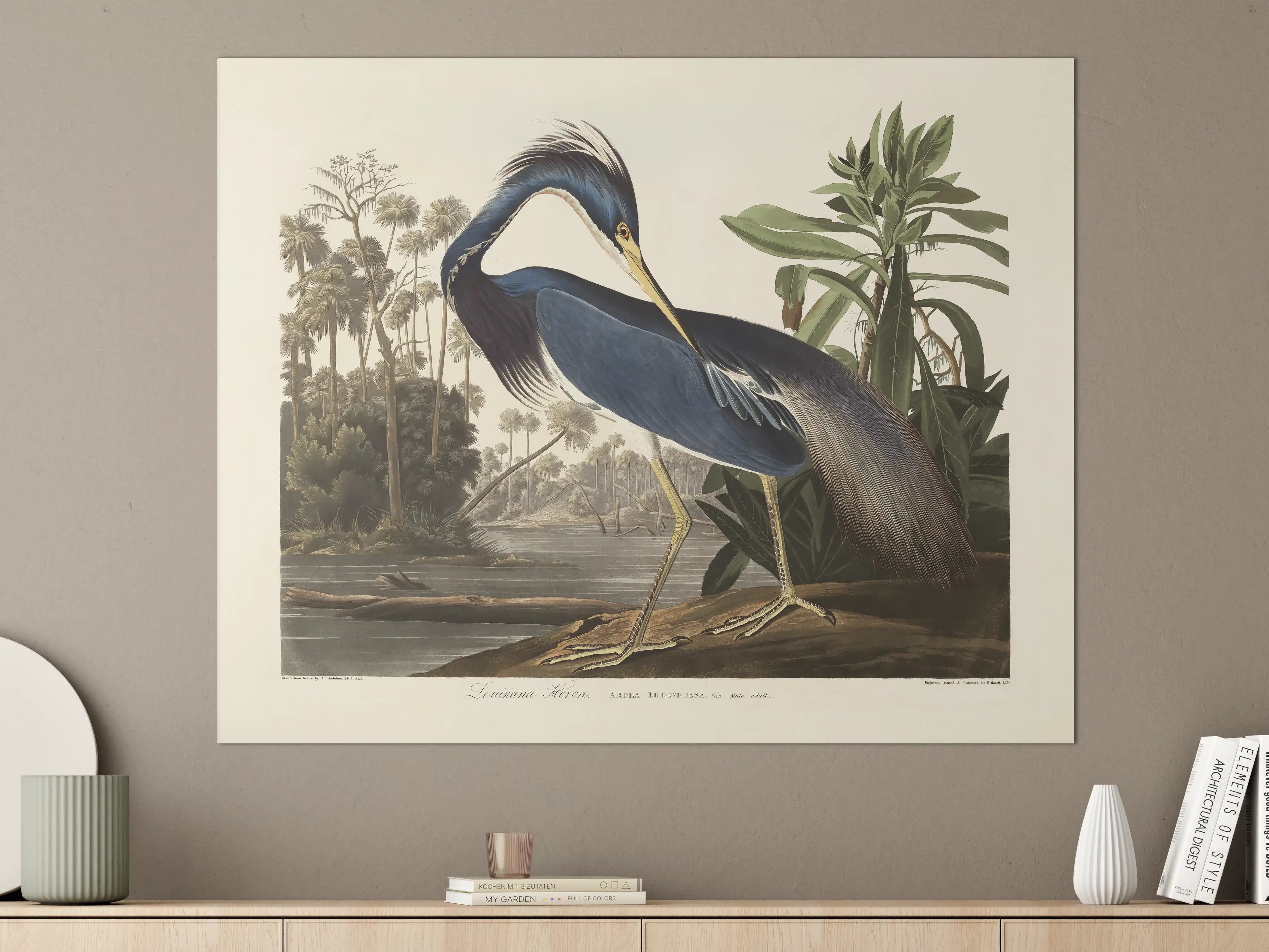 Große Wandbilder - Reiher Portrait - John James Audubon