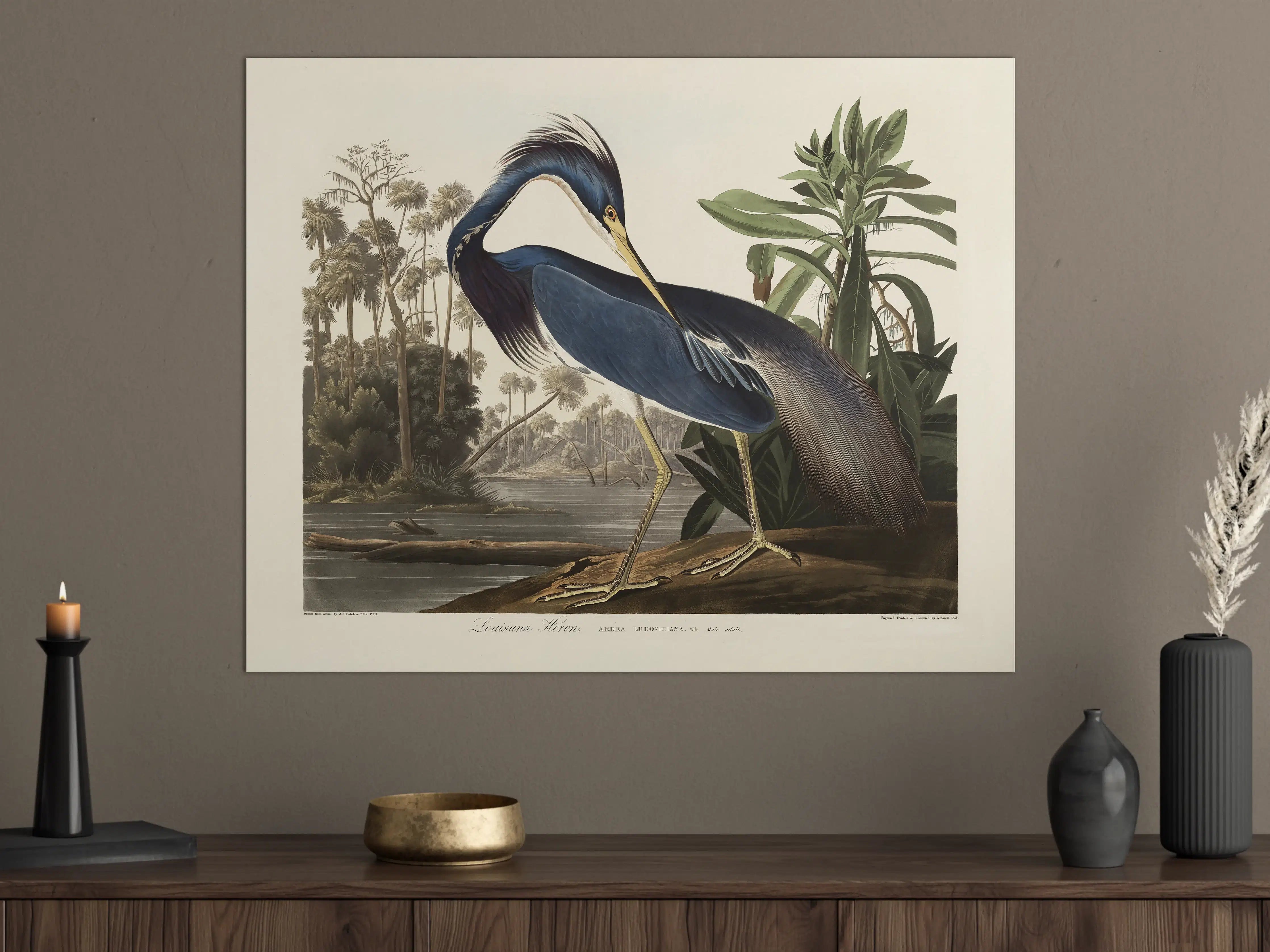 Große Wandbilder - Reiher Portrait - John James Audubon