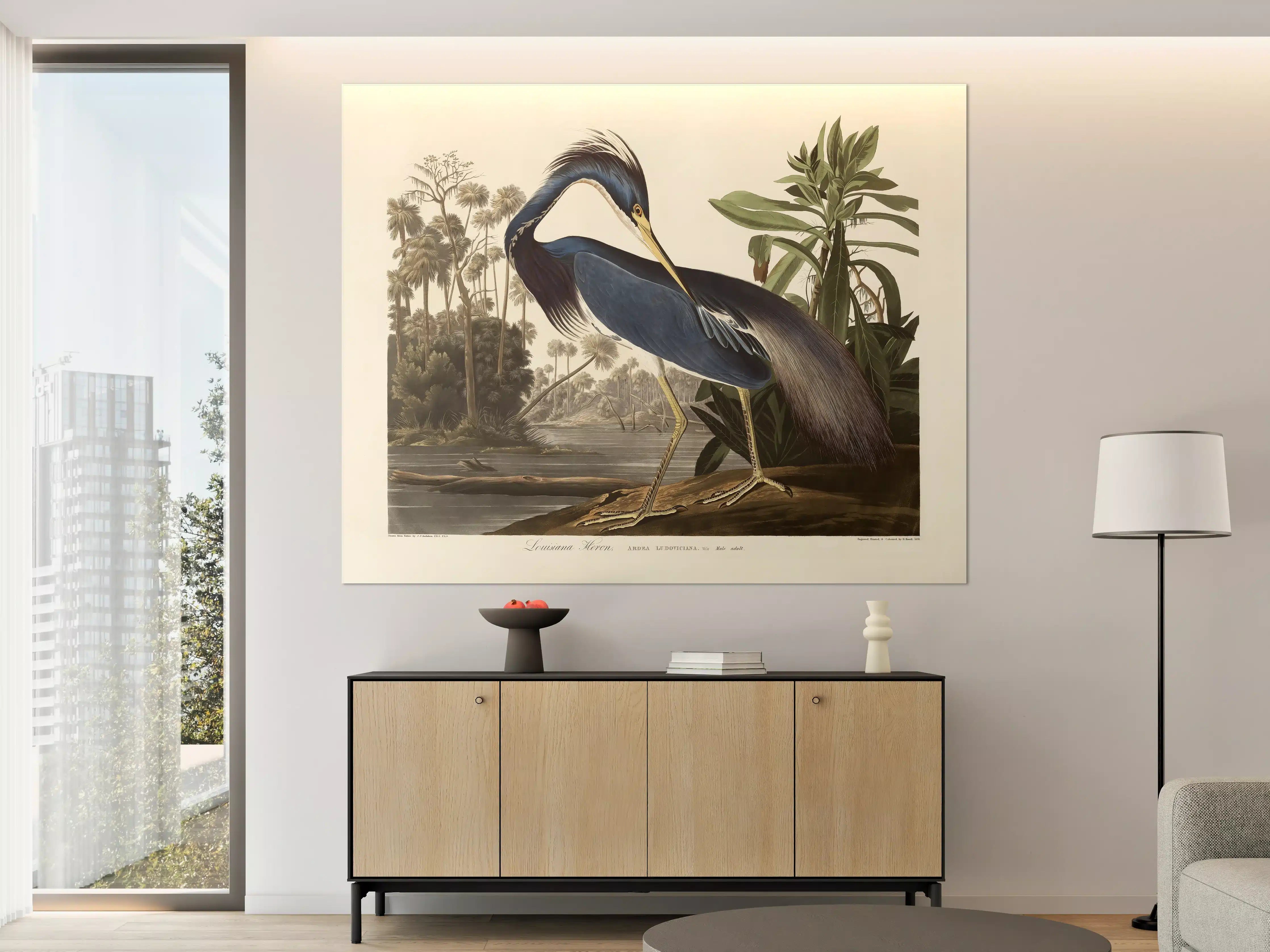 Große Wandbilder - Reiher Portrait - John James Audubon