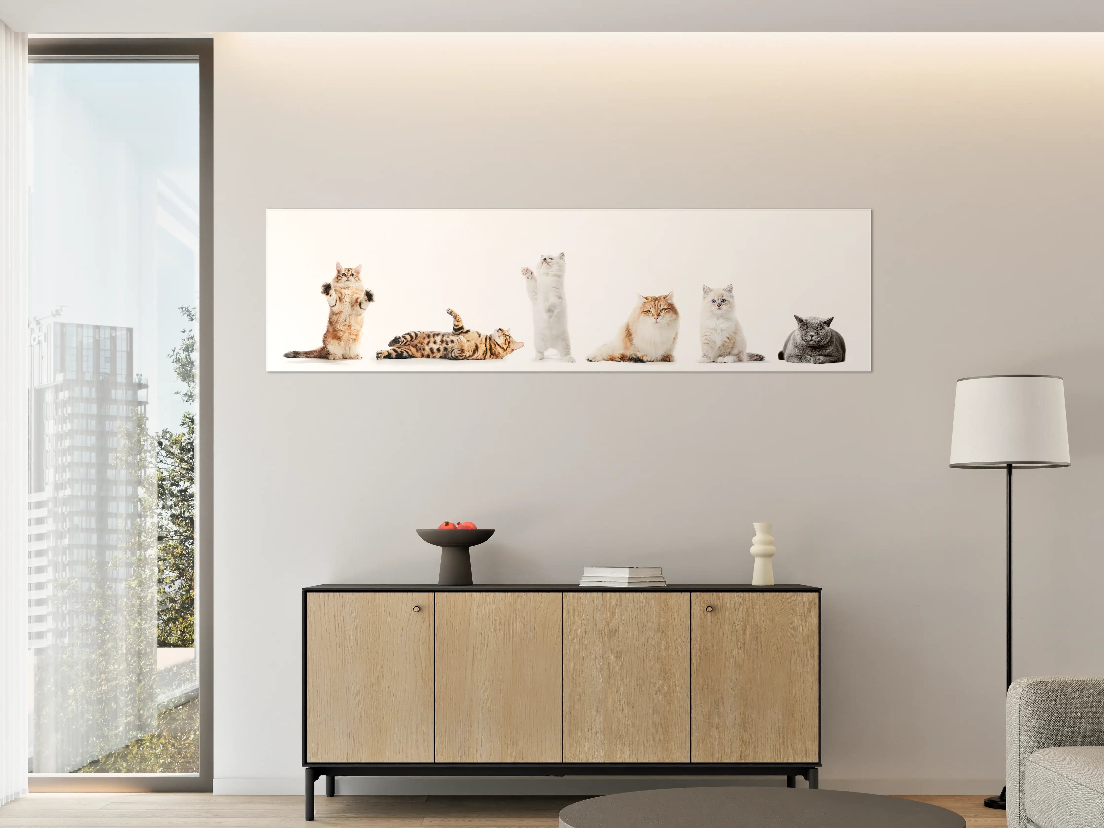 Große Wandbilder - Reinrassige Katzen Weiß-Sammlung