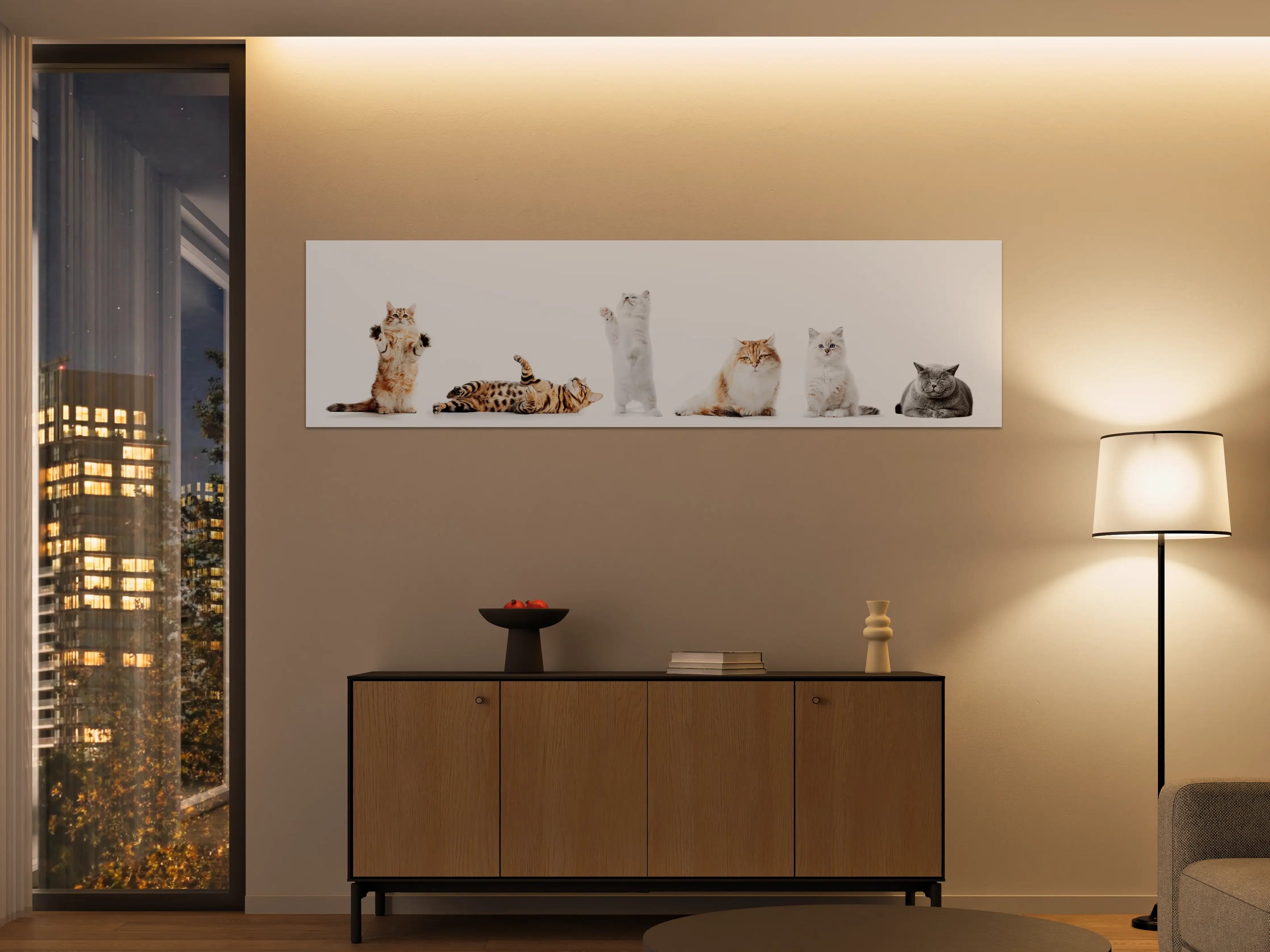 Große Wandbilder - Reinrassige Katzen Weiß-Sammlung