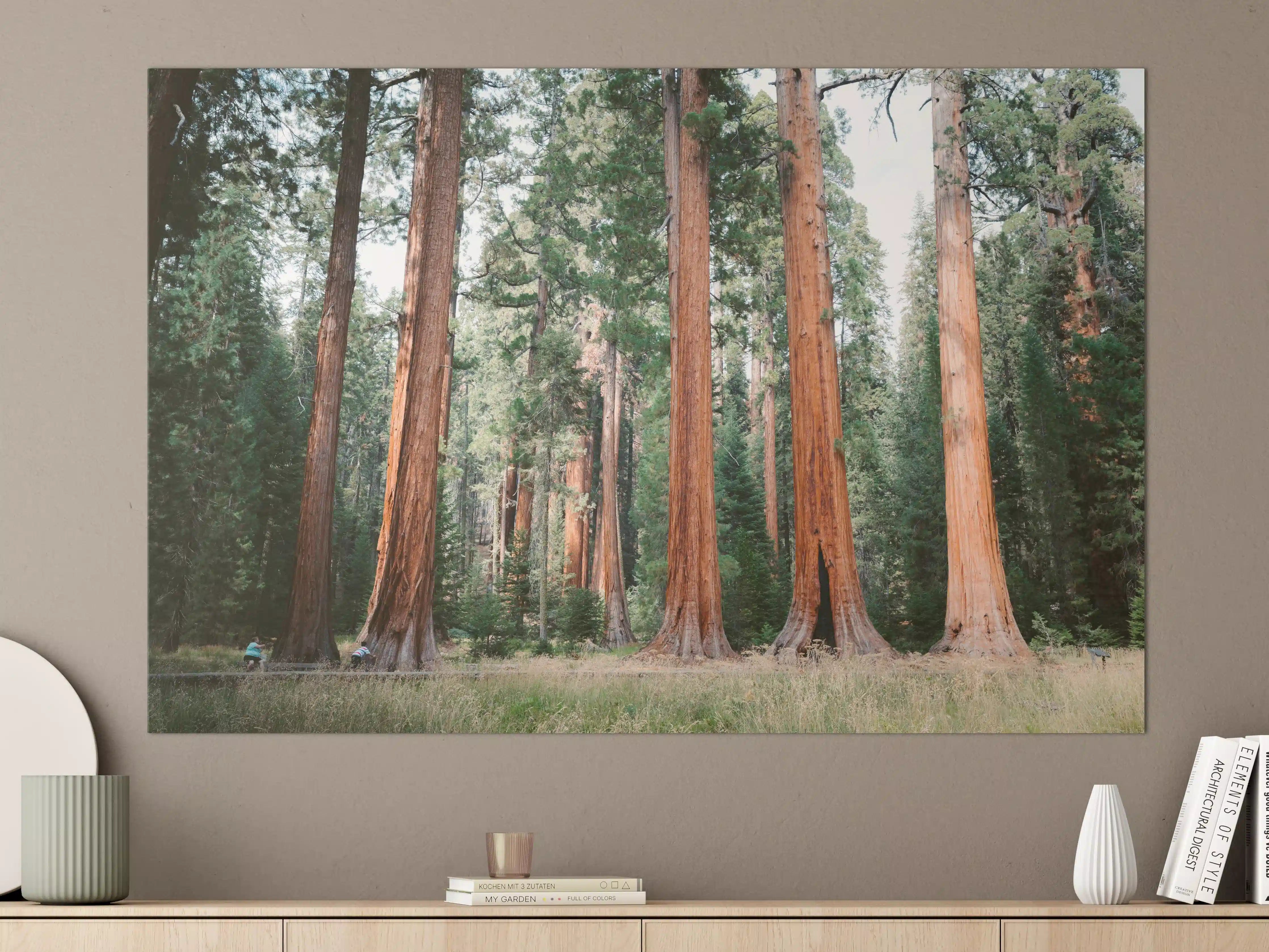Große Wandbilder - Riesenmammutbäume im Sequoia-Nationalpark