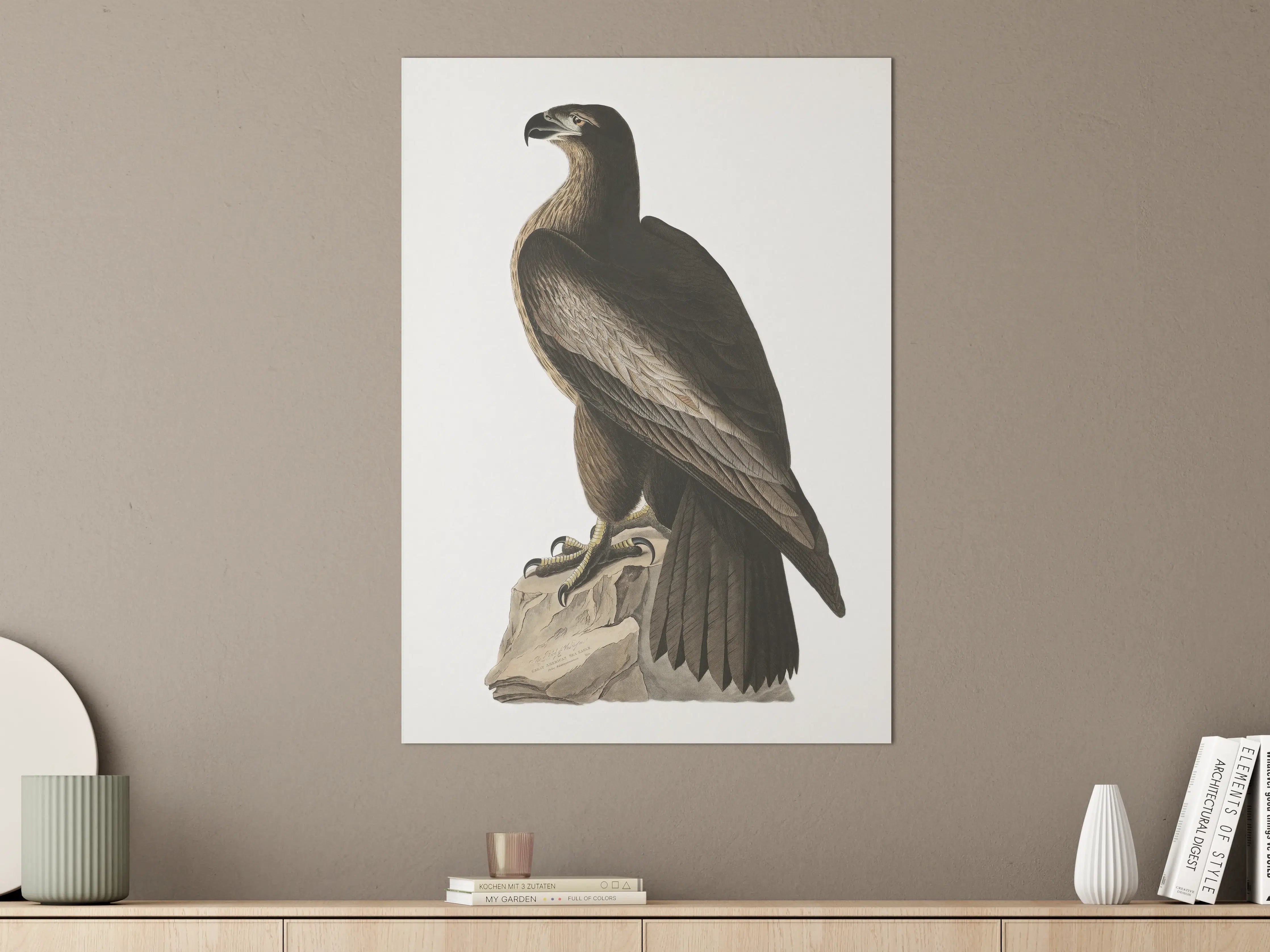 Große Wandbilder - Riesenseeadler Portrait - John James Audubon