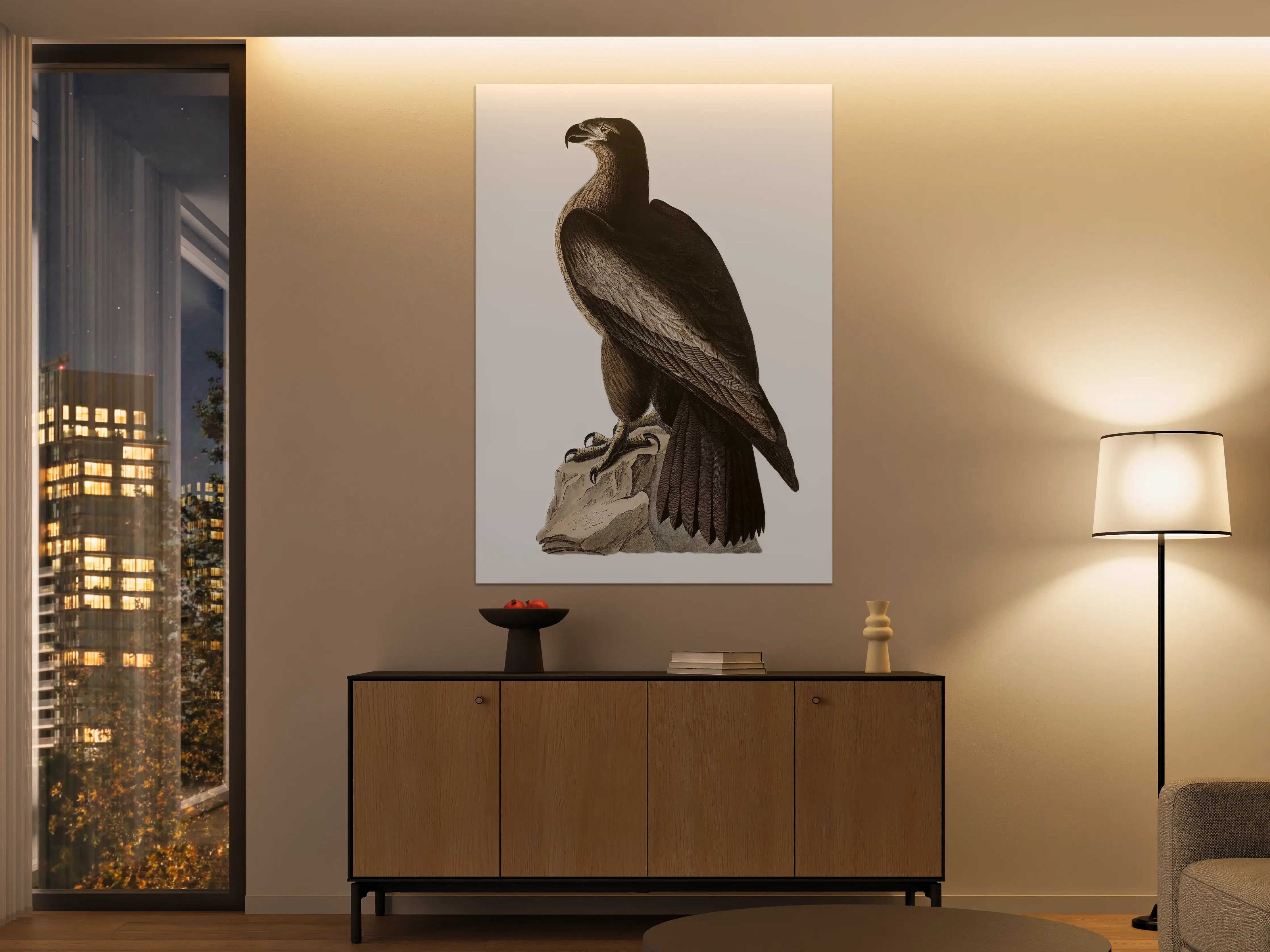 Große Wandbilder - Riesenseeadler Portrait - John James Audubon