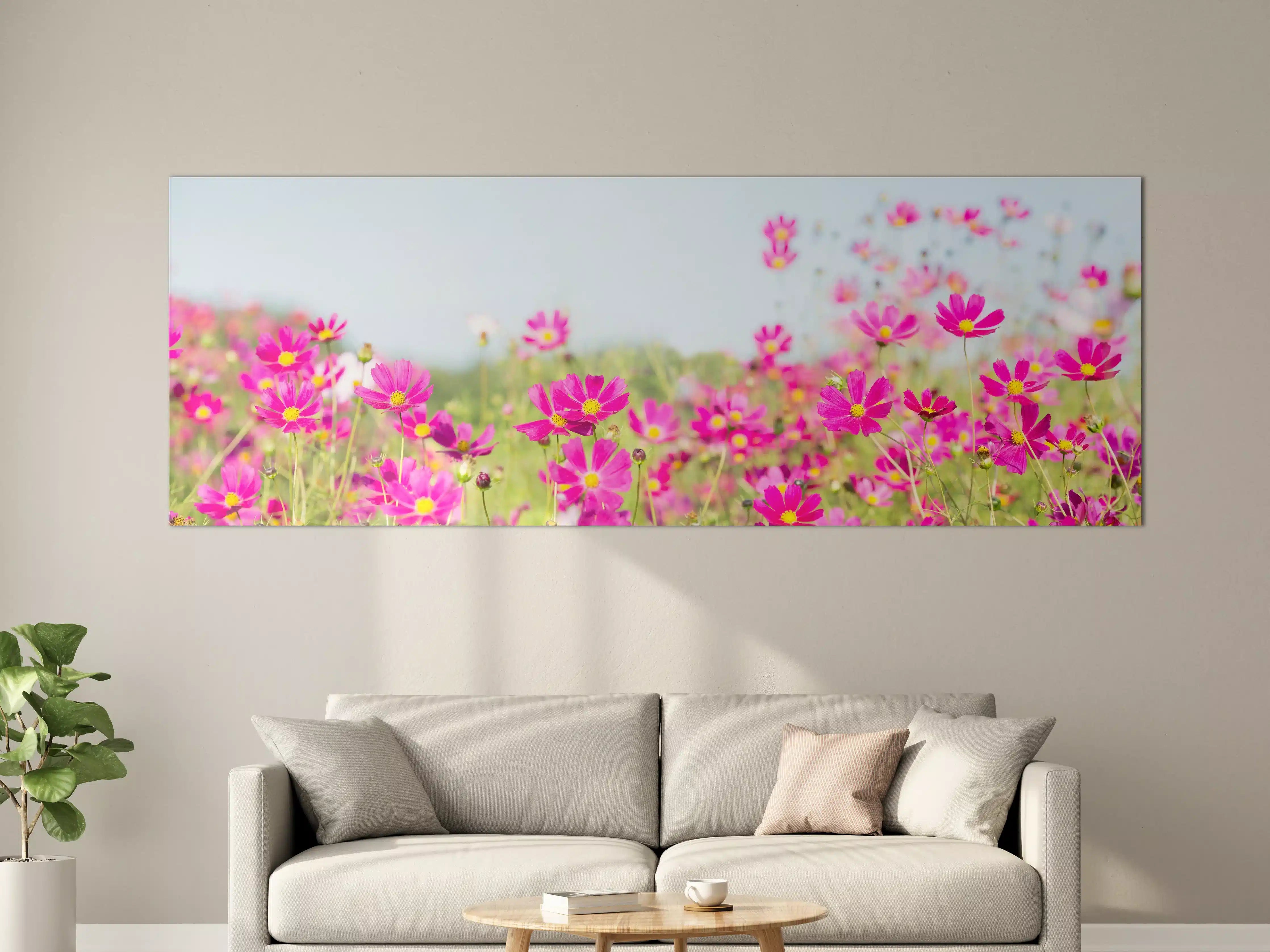 Große Wandbilder - Rosa Blumenwiese Panorama