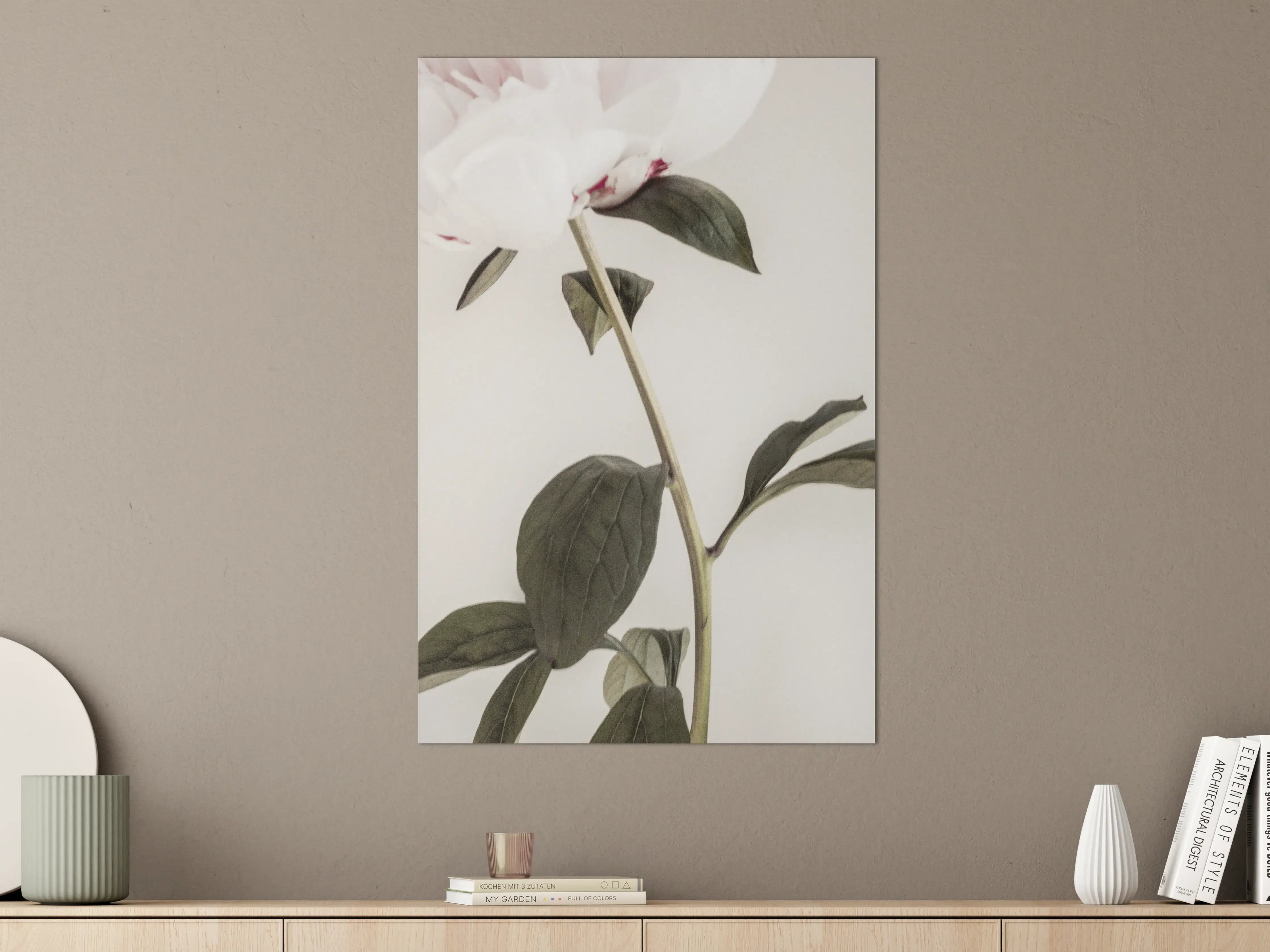 Große Wandbilder - Rosa Pfingstrose - Nahaufnahme 