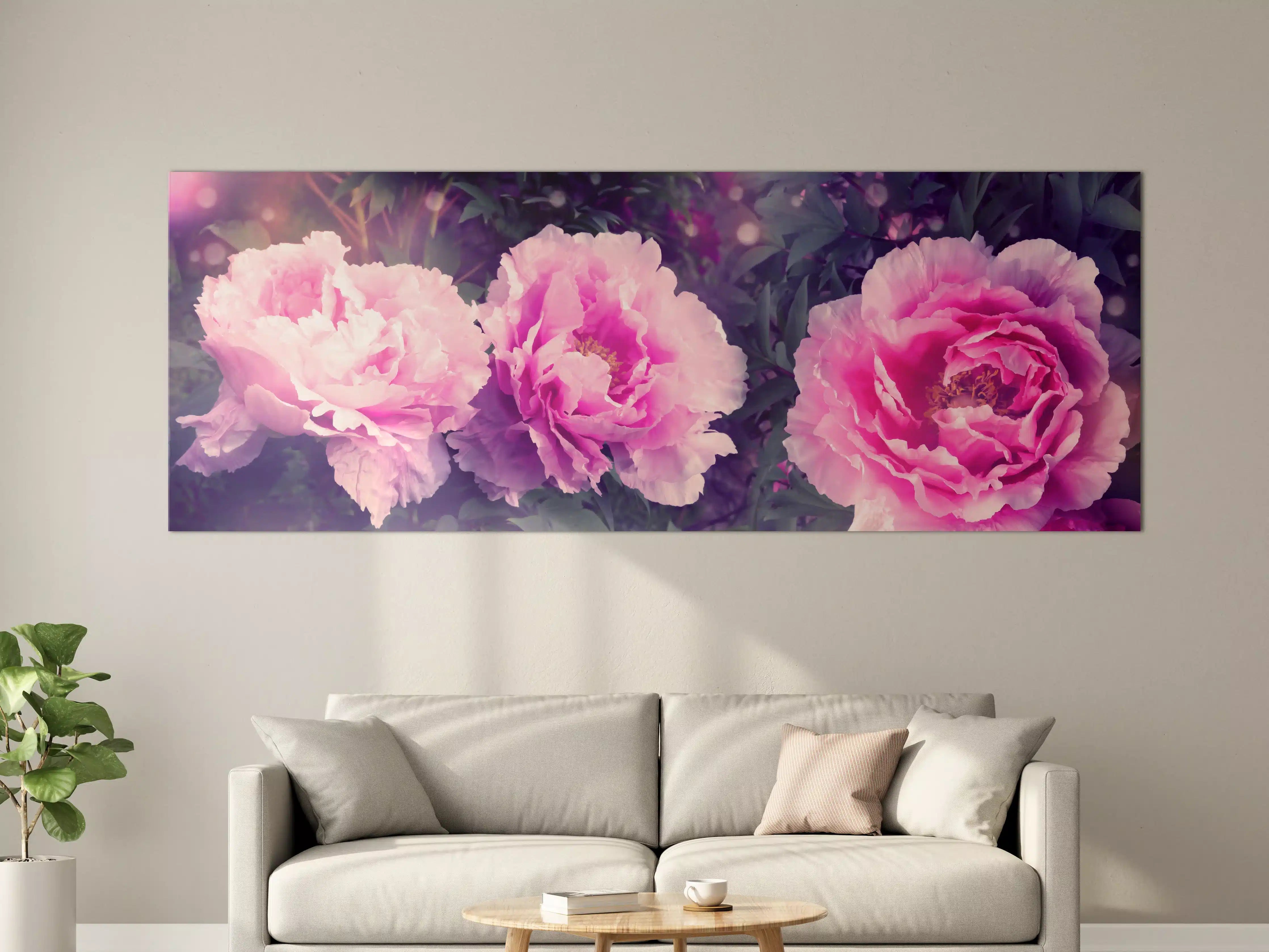 Große Wandbilder - Rosa-Weiße Pfingstrosen