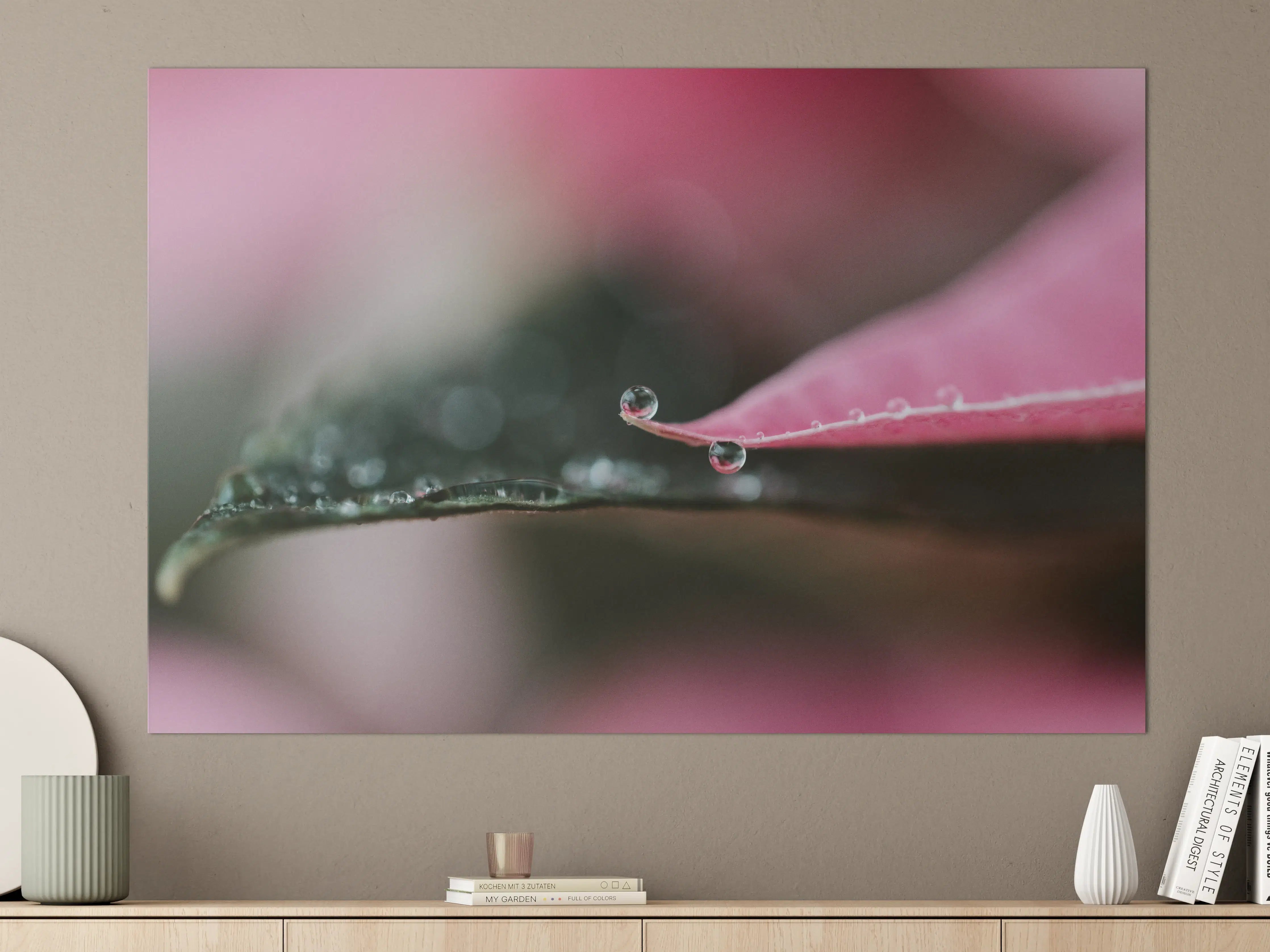 Große Wandbilder - Rosenblatt mit Wassertropfen in Nahaufnahme