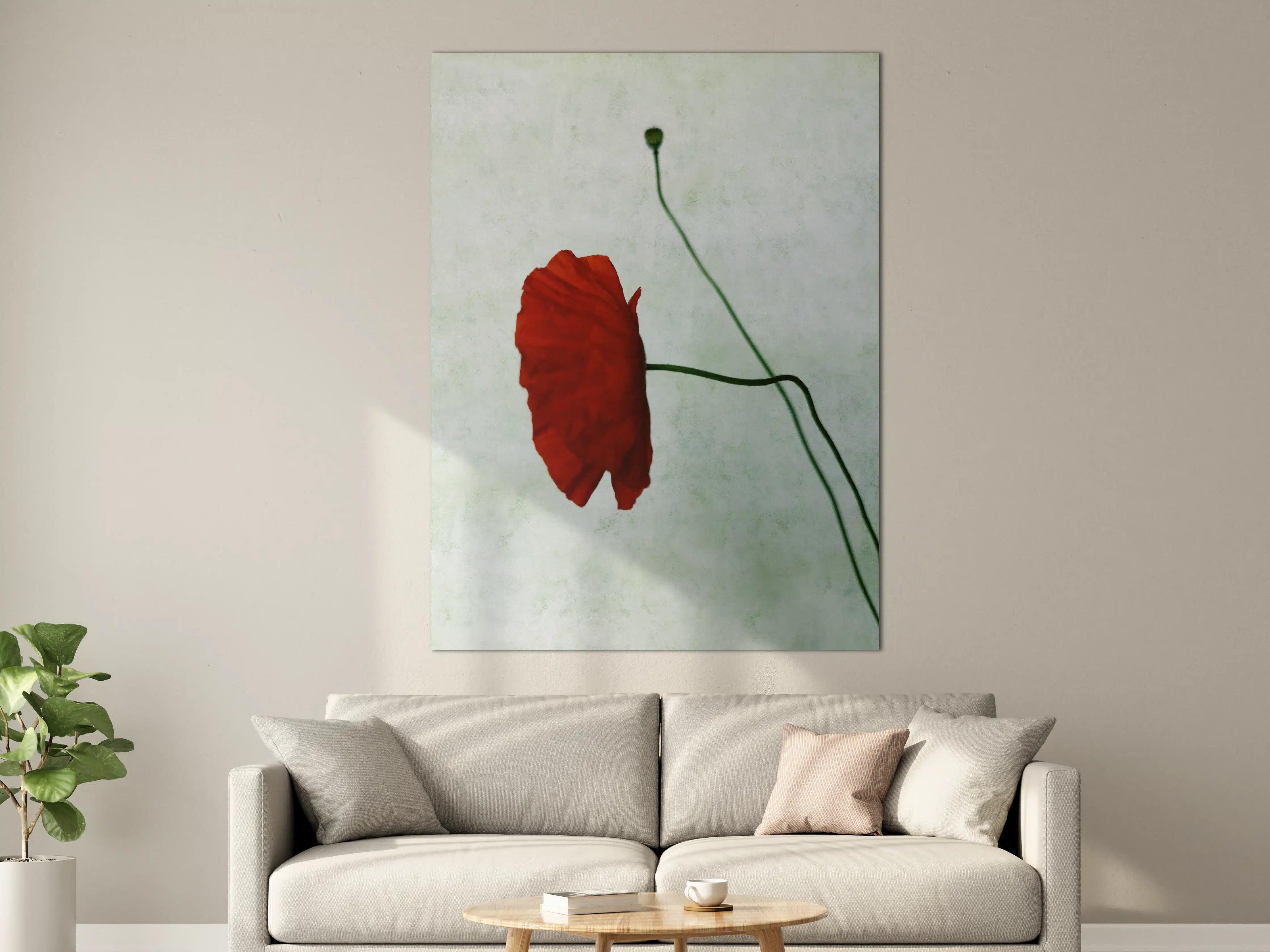 Große Wandbilder - Rote Mohnblume mit grünem Stängel