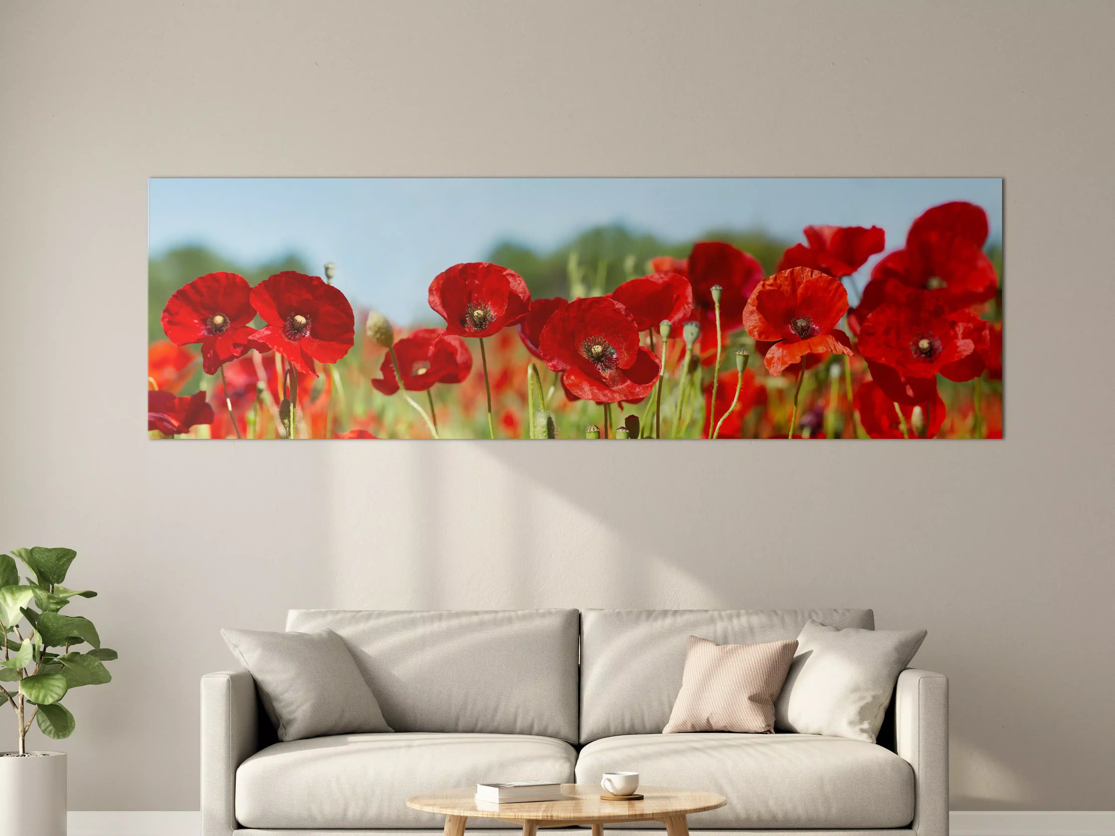 Große Wandbilder - Rote Mohnblumen auf einem Feld
