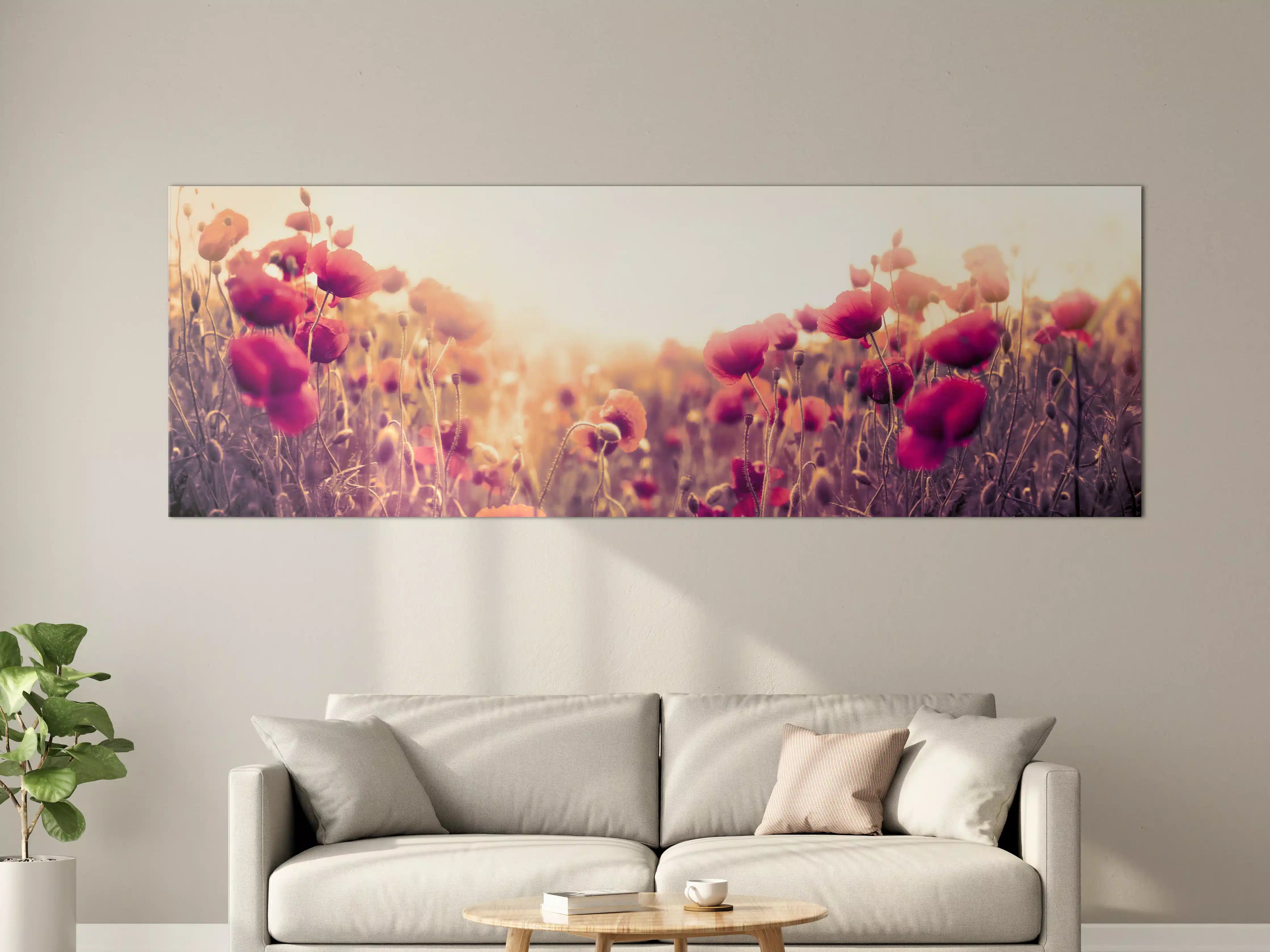 Große Wandbilder - Rote Mohnblumen in der Sonne