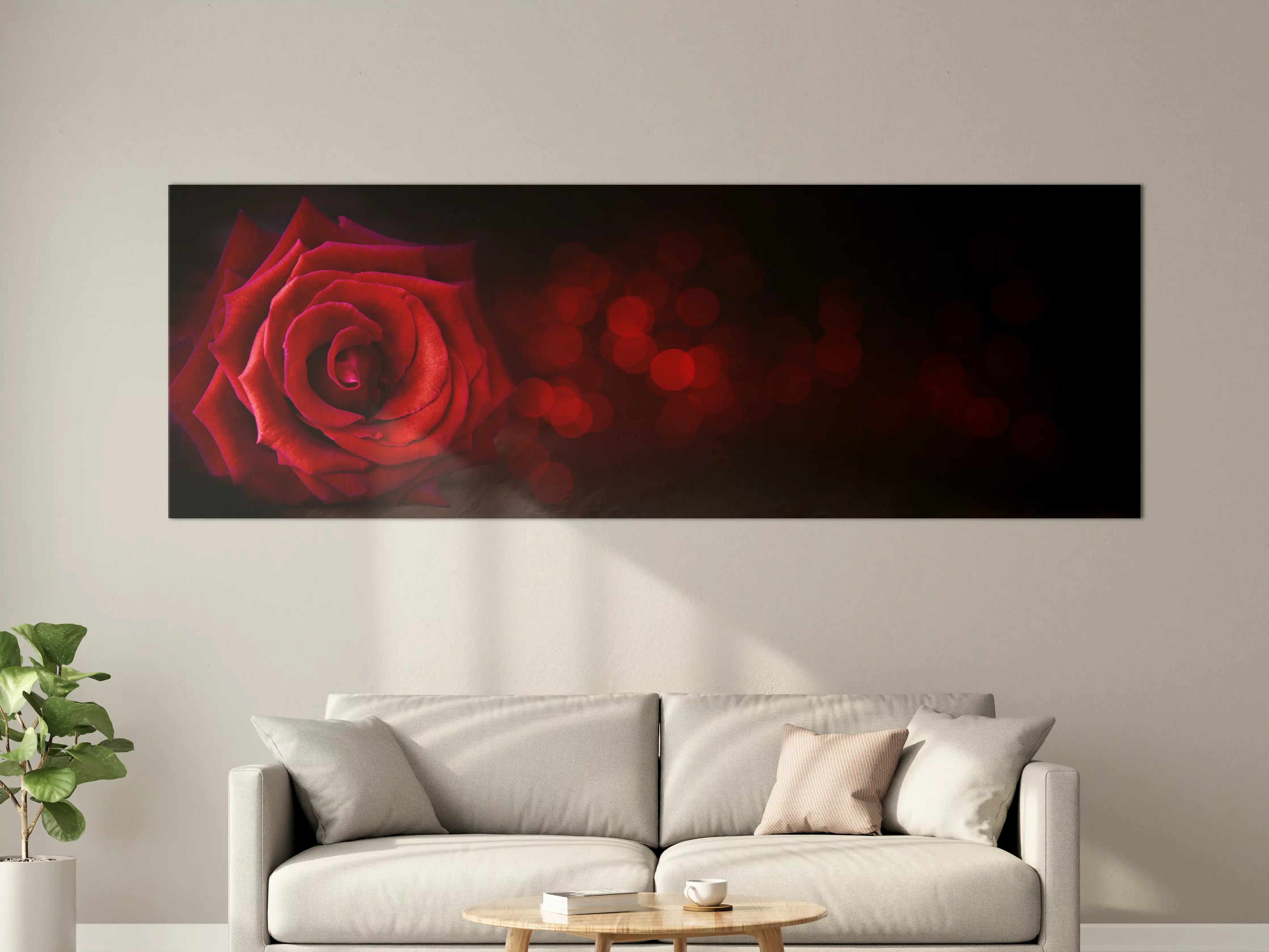 Große Wandbilder - Rote Rose auf schwarzem Hintergrund
