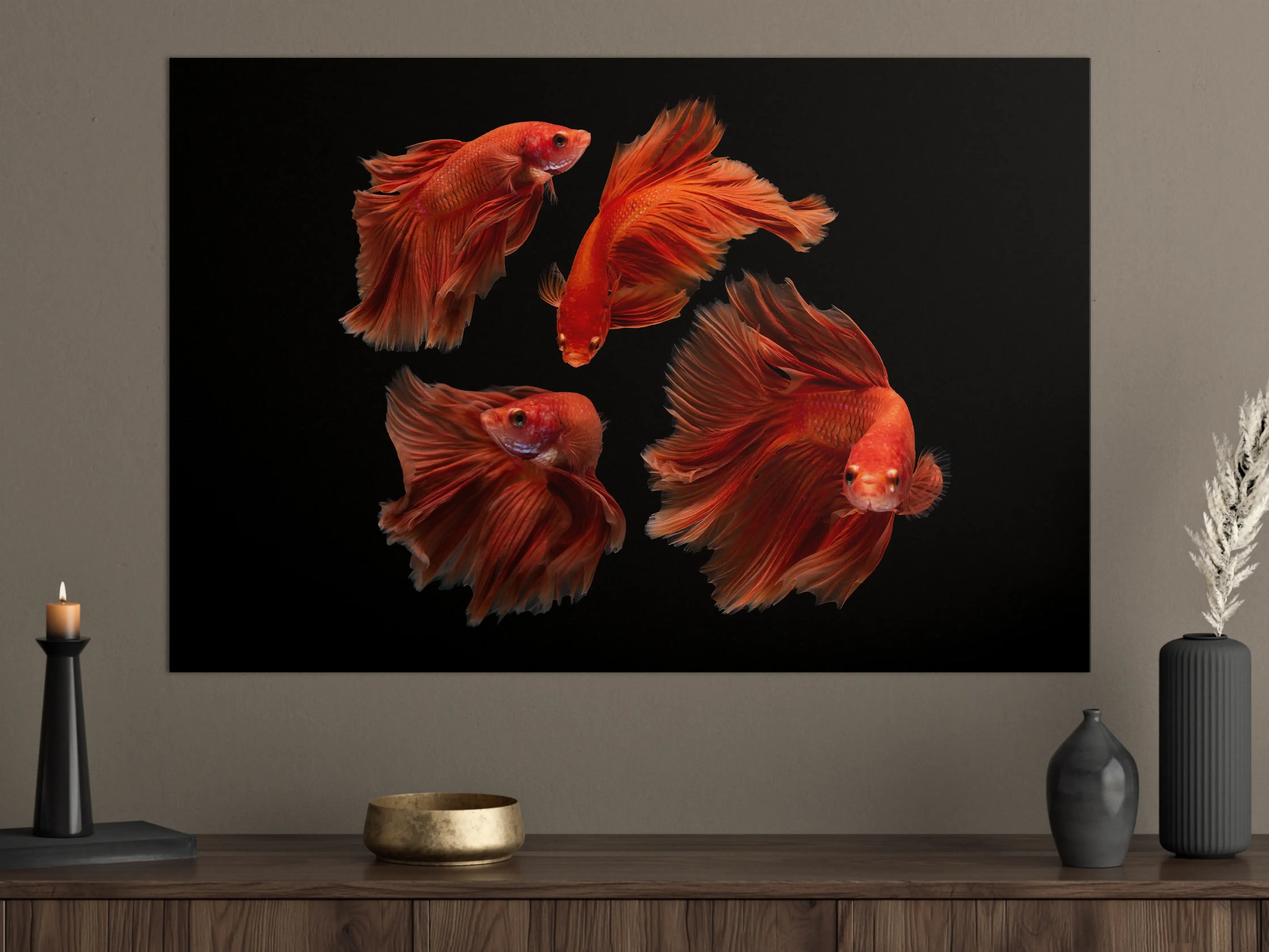 Große Wandbilder - Roter Betta Fisch