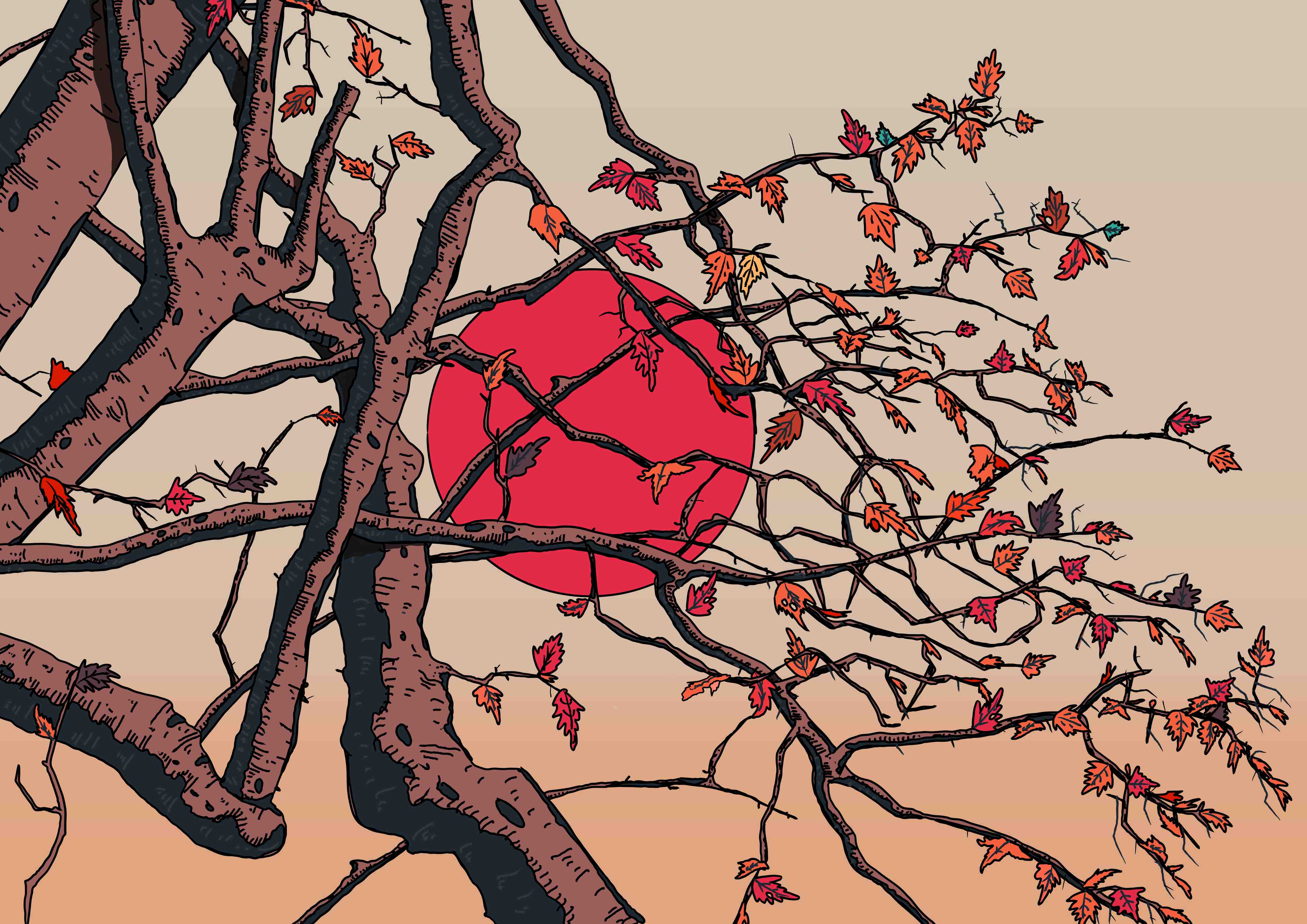 Große Wandbilder-Roter Sonnenuntergang hinter Baum