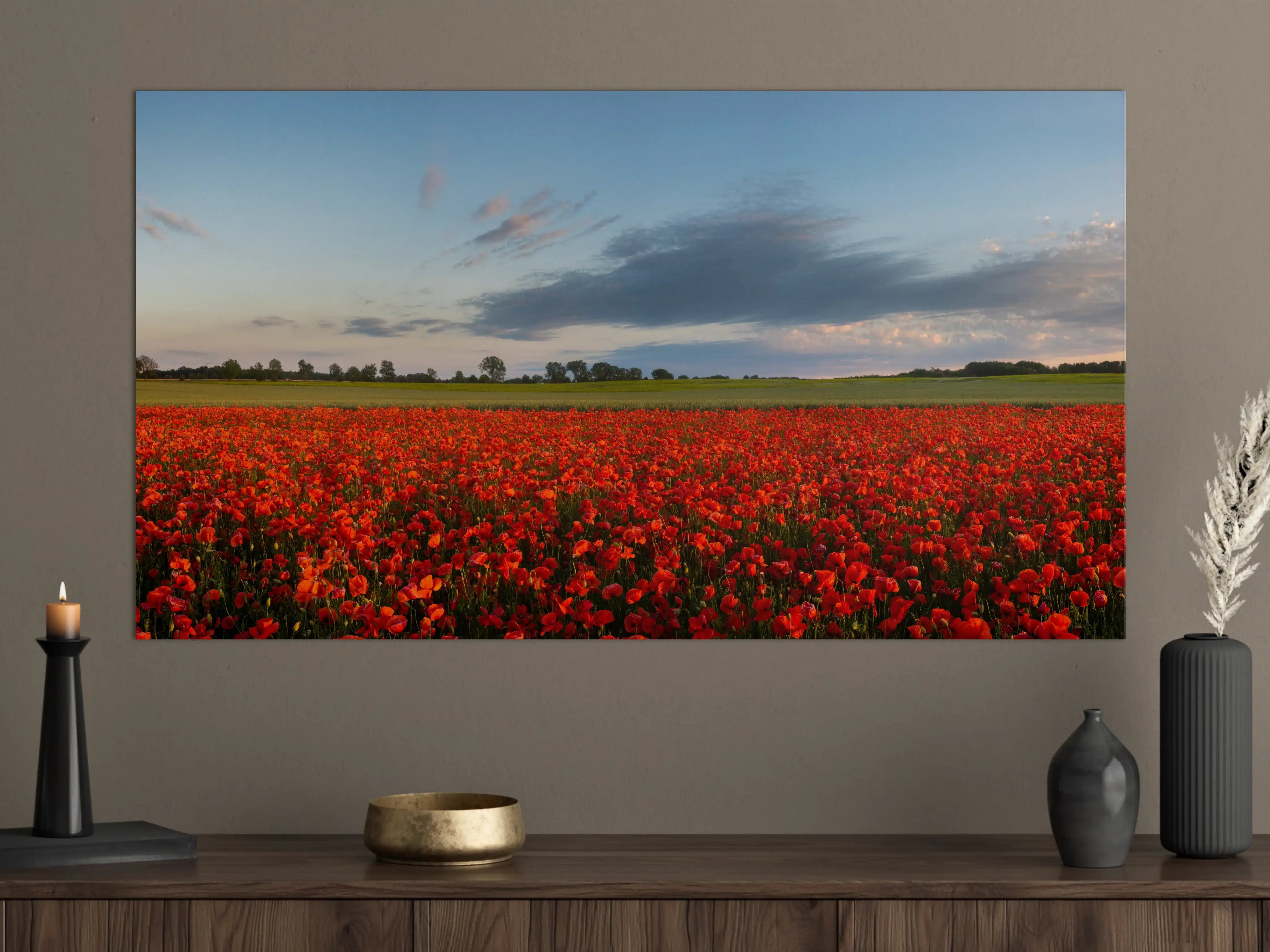 Große Wandbilder - Rotes Mohnfeld unter blauem Himmel
