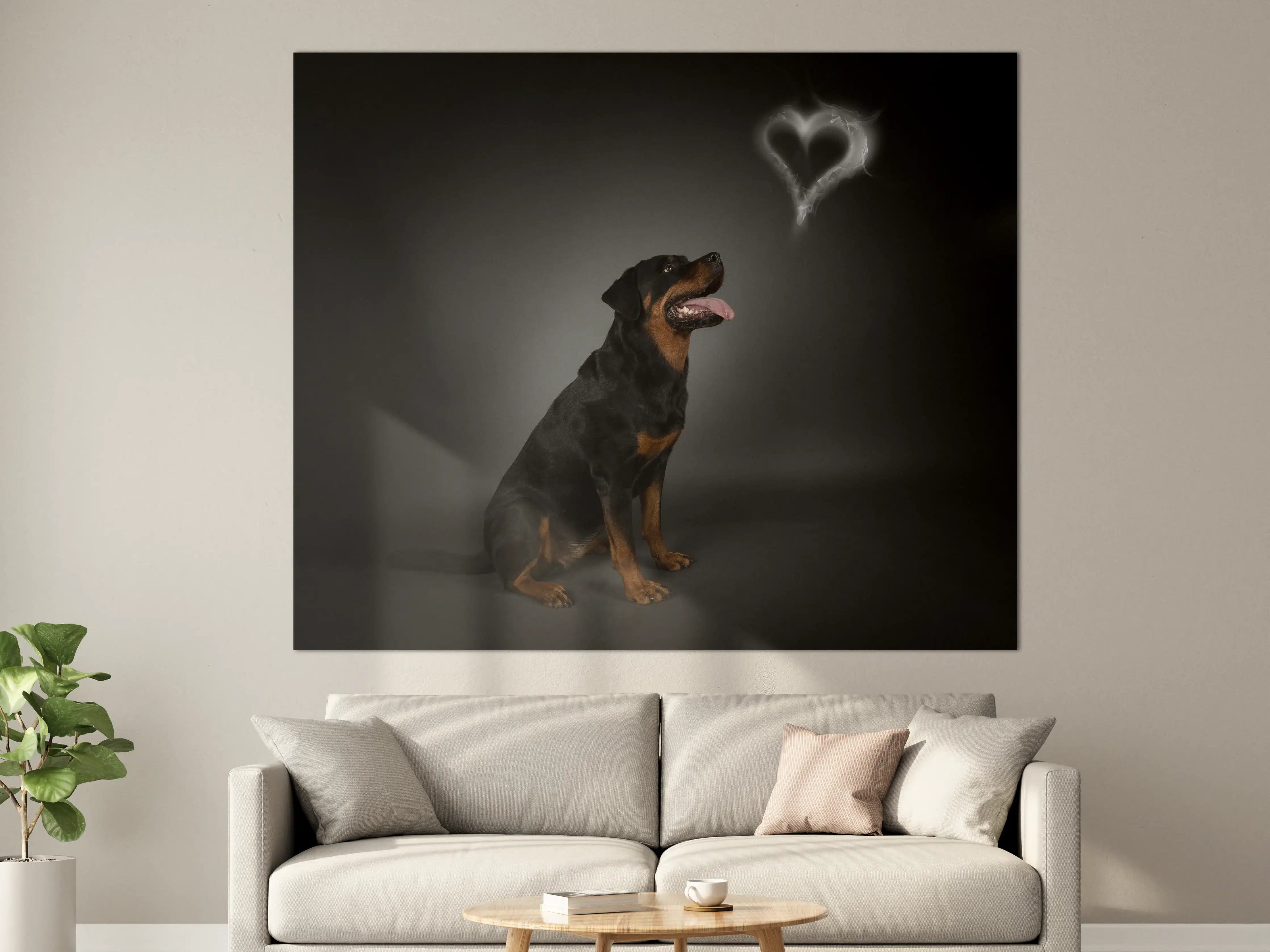 Große Wandbilder - Rottweiler sitzend mit Blick auf Herz