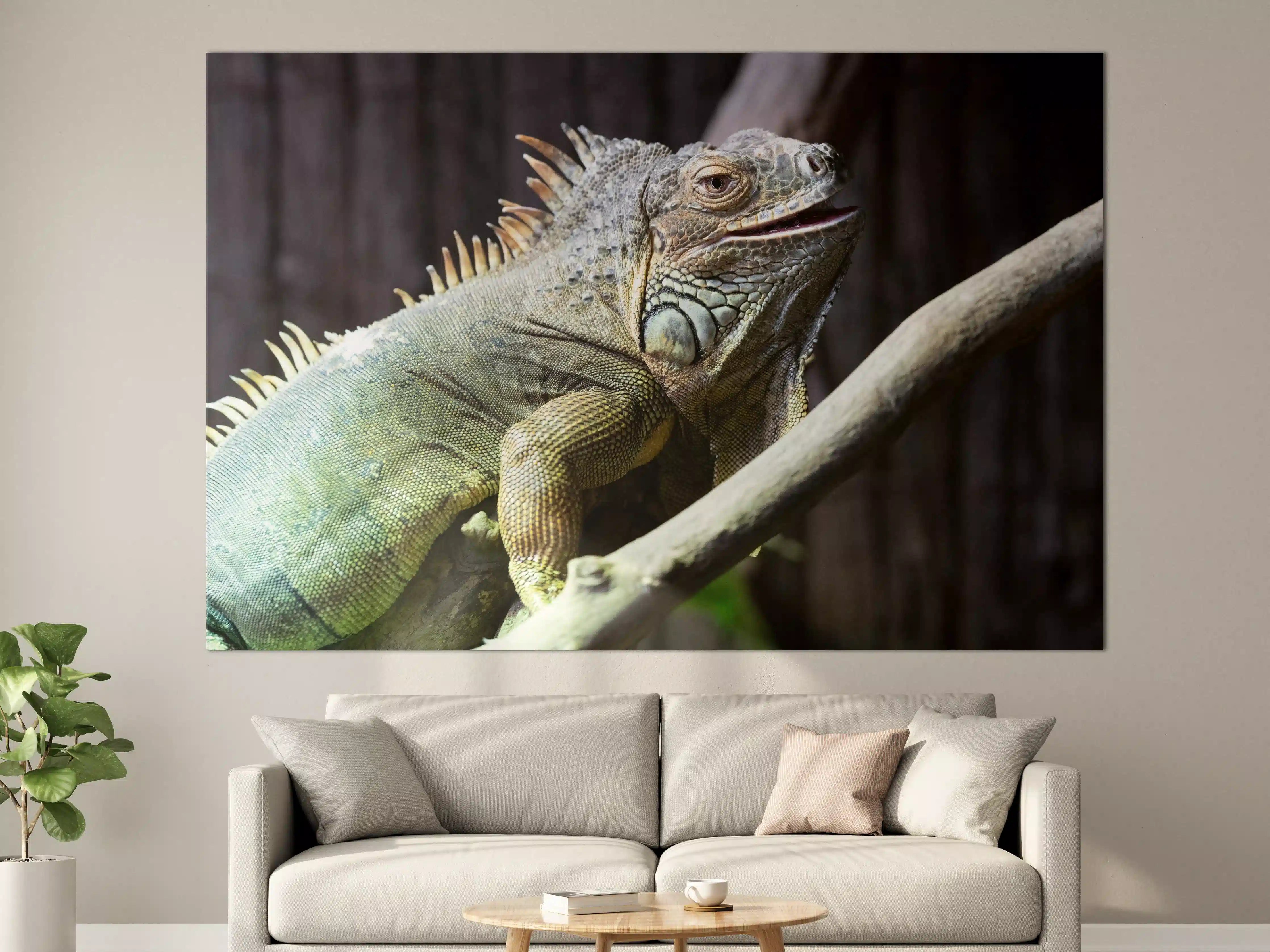Große Wandbilder - Ruhender Leguan