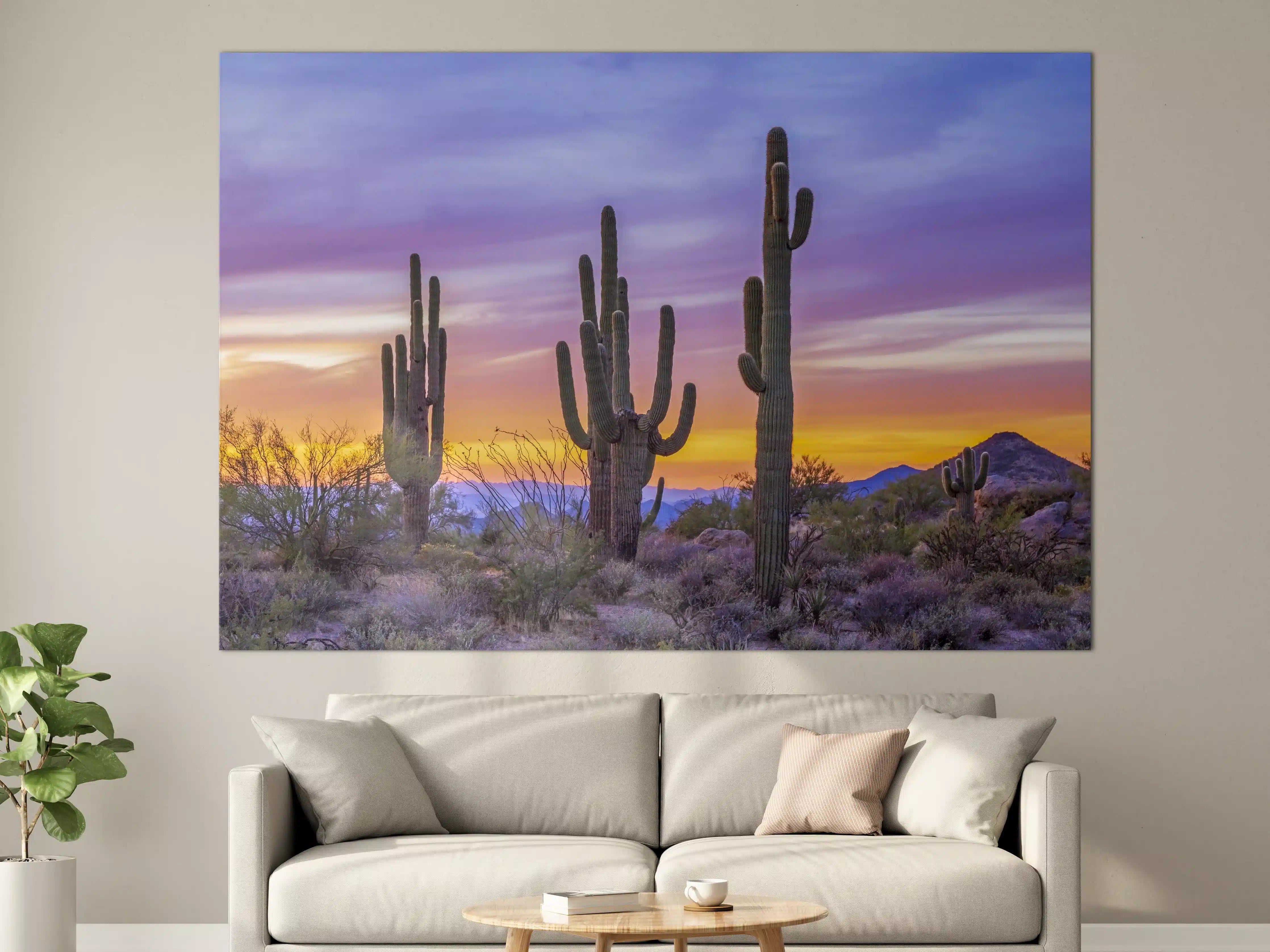 Große Wandbilder - Saguaro-Kaktus bei Sonnenuntergang in Arizona