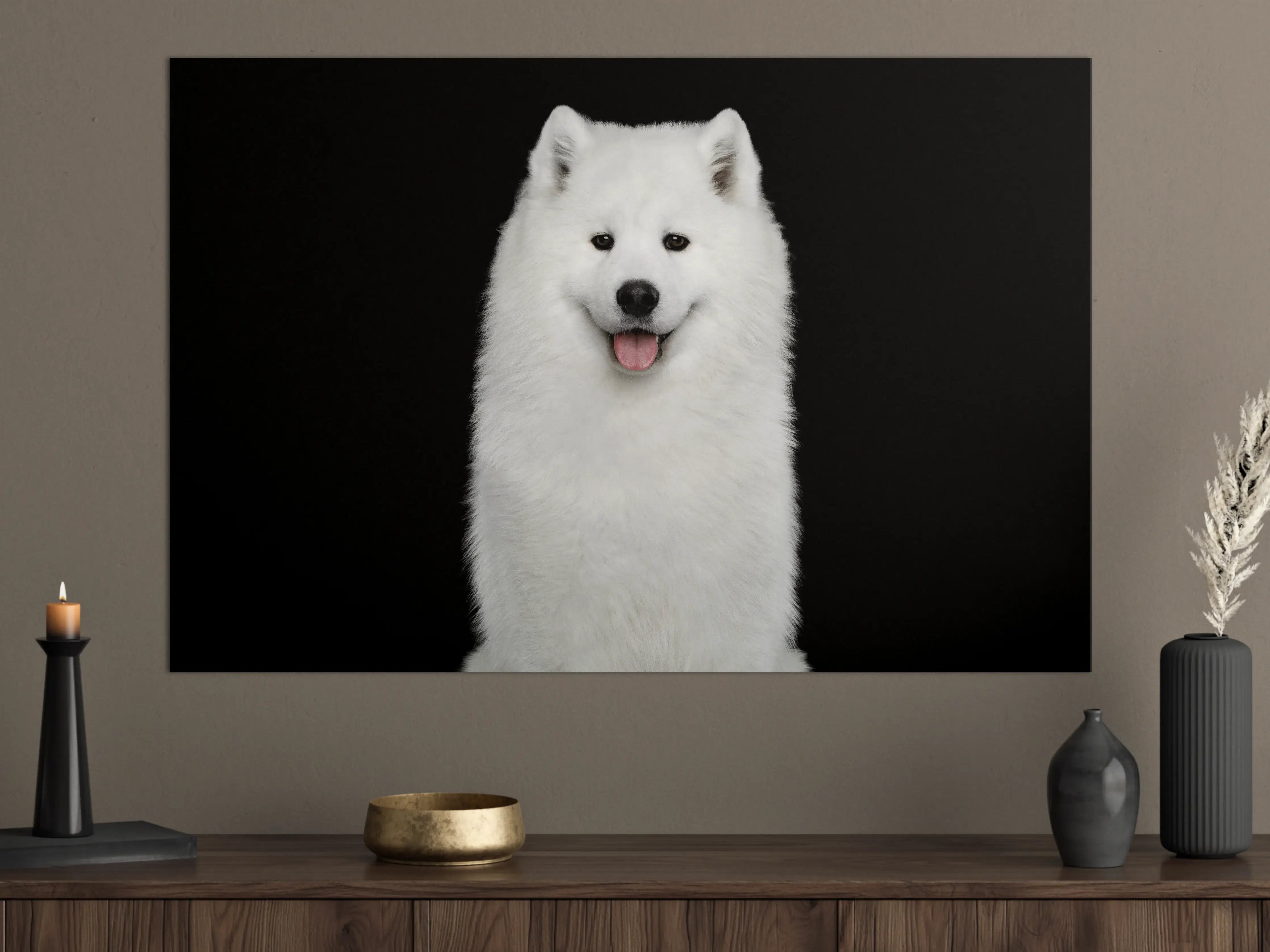 Große Wandbilder - Samojeden Hund