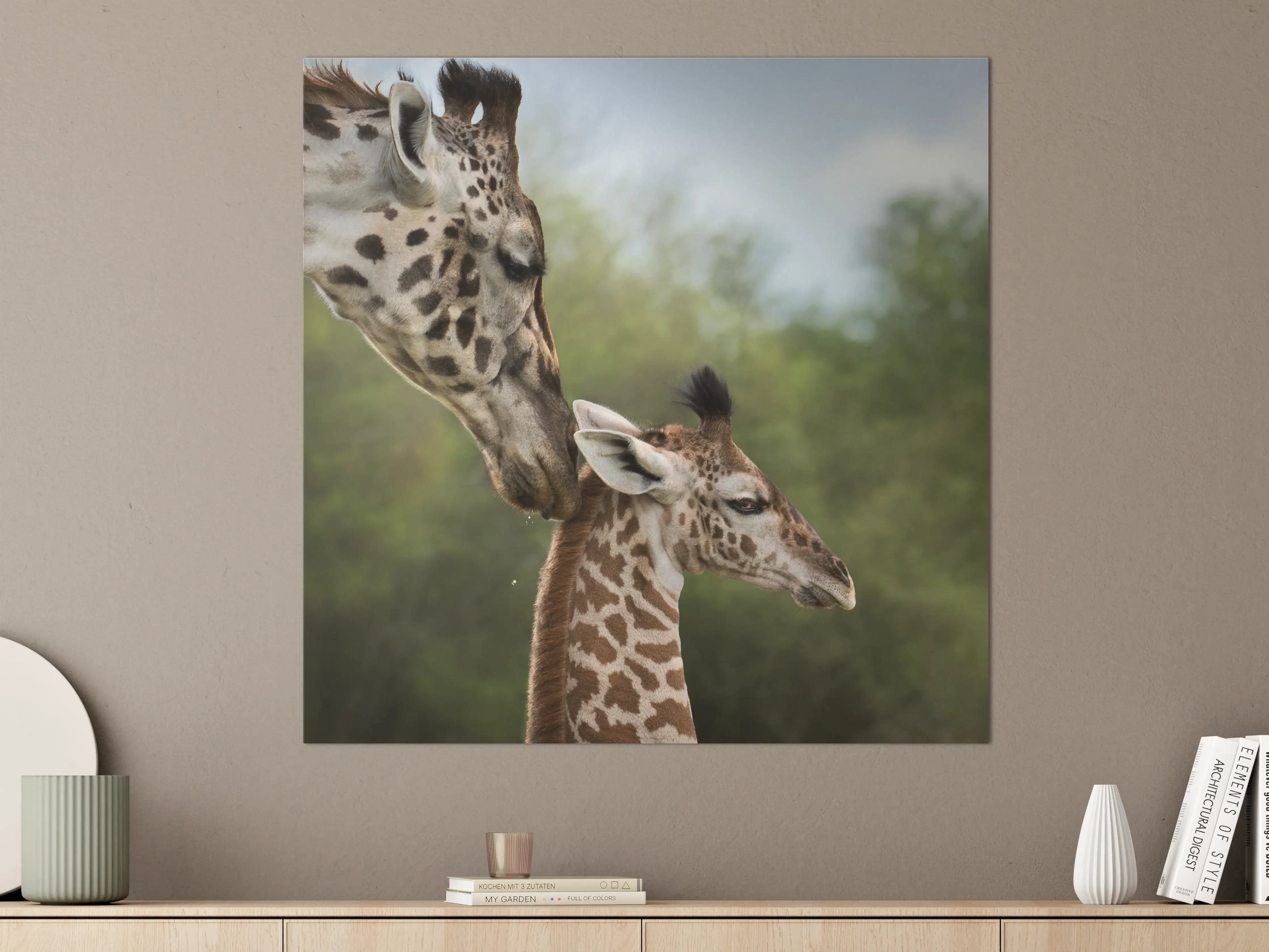 Große Wandbilder - Sanfte Giraffen in freier Natur