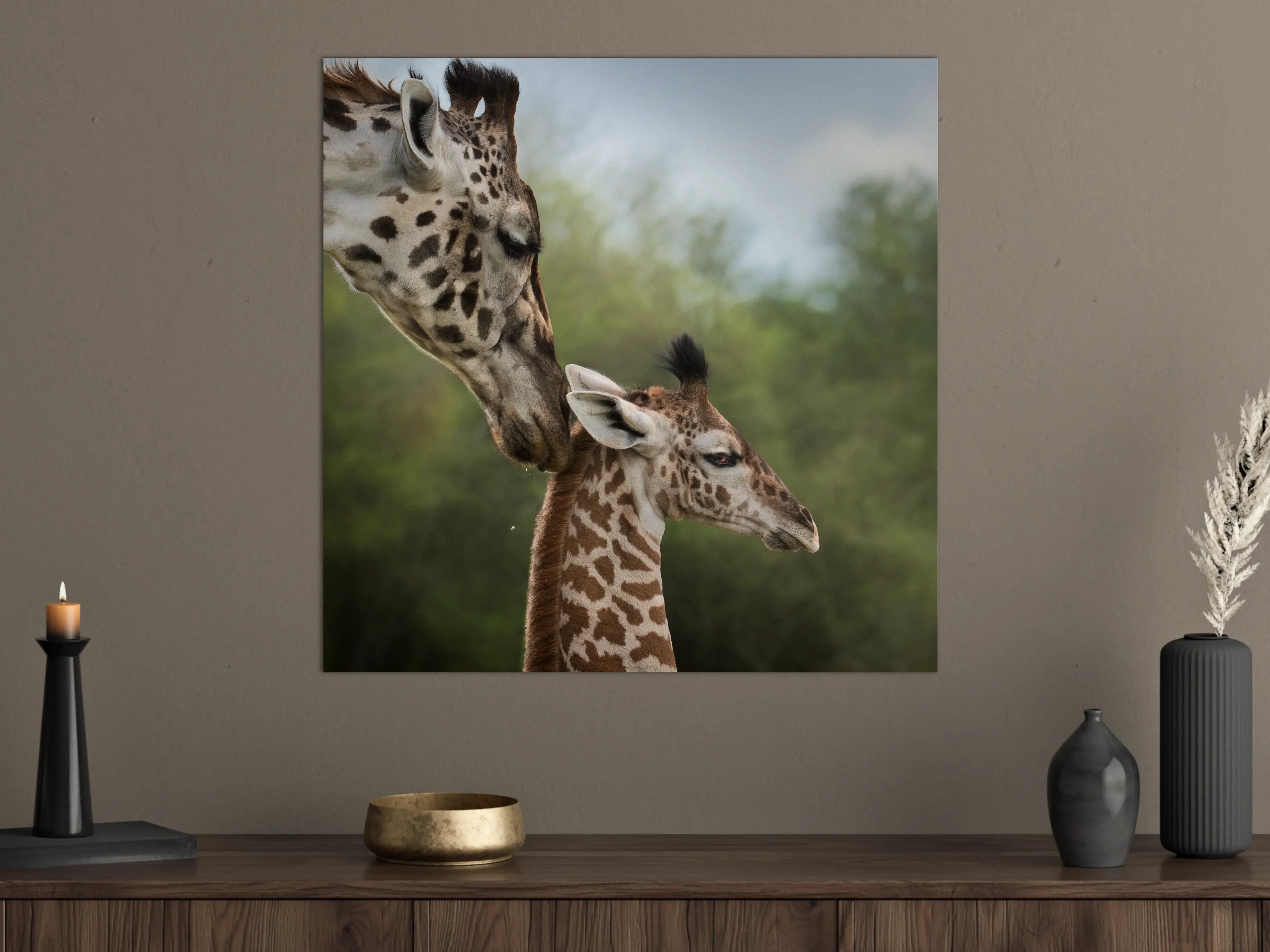 Große Wandbilder - Sanfte Giraffen in freier Natur