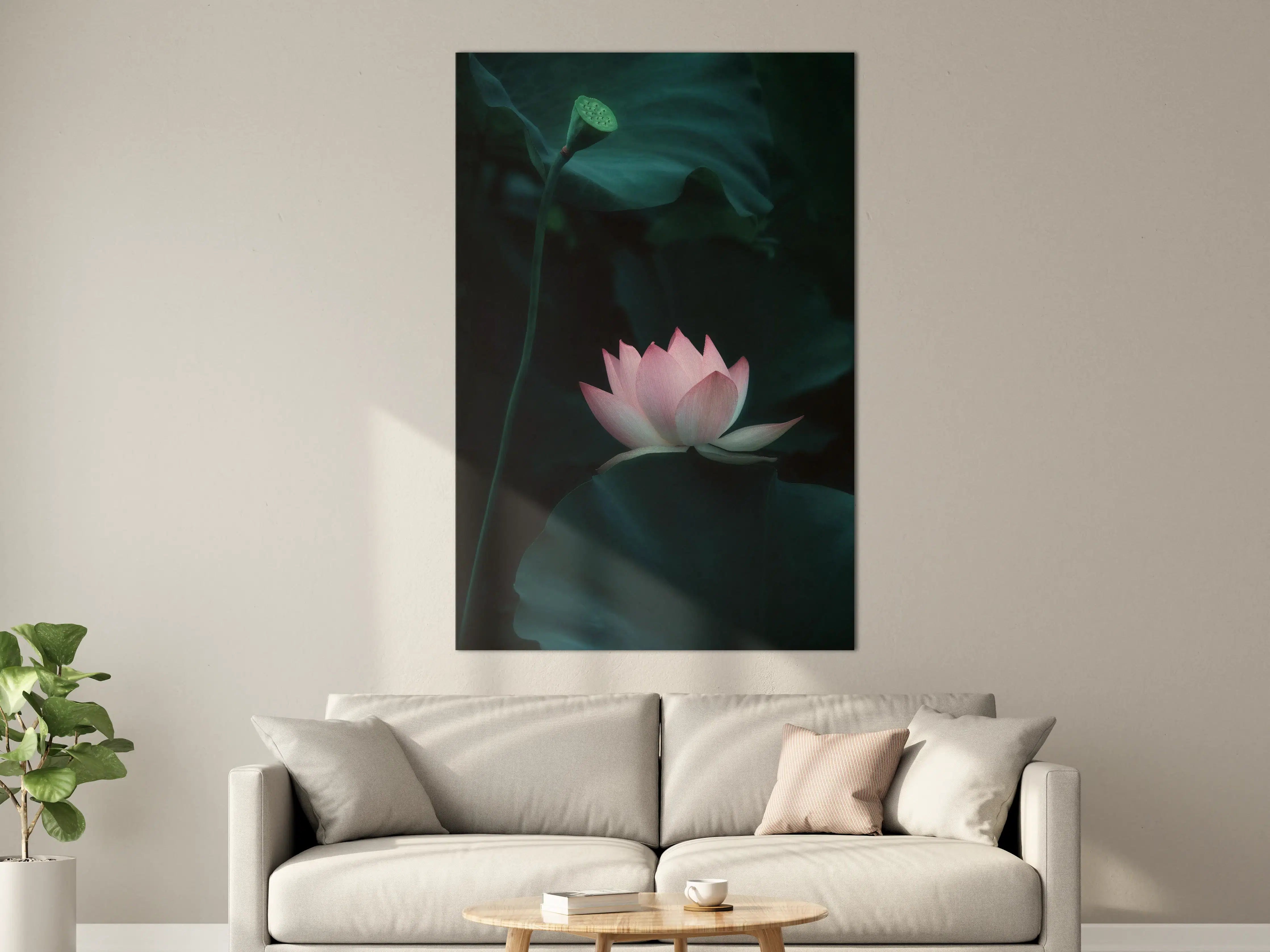 Große Wandbilder - Sanfte Lotus-Blüte im Wasser