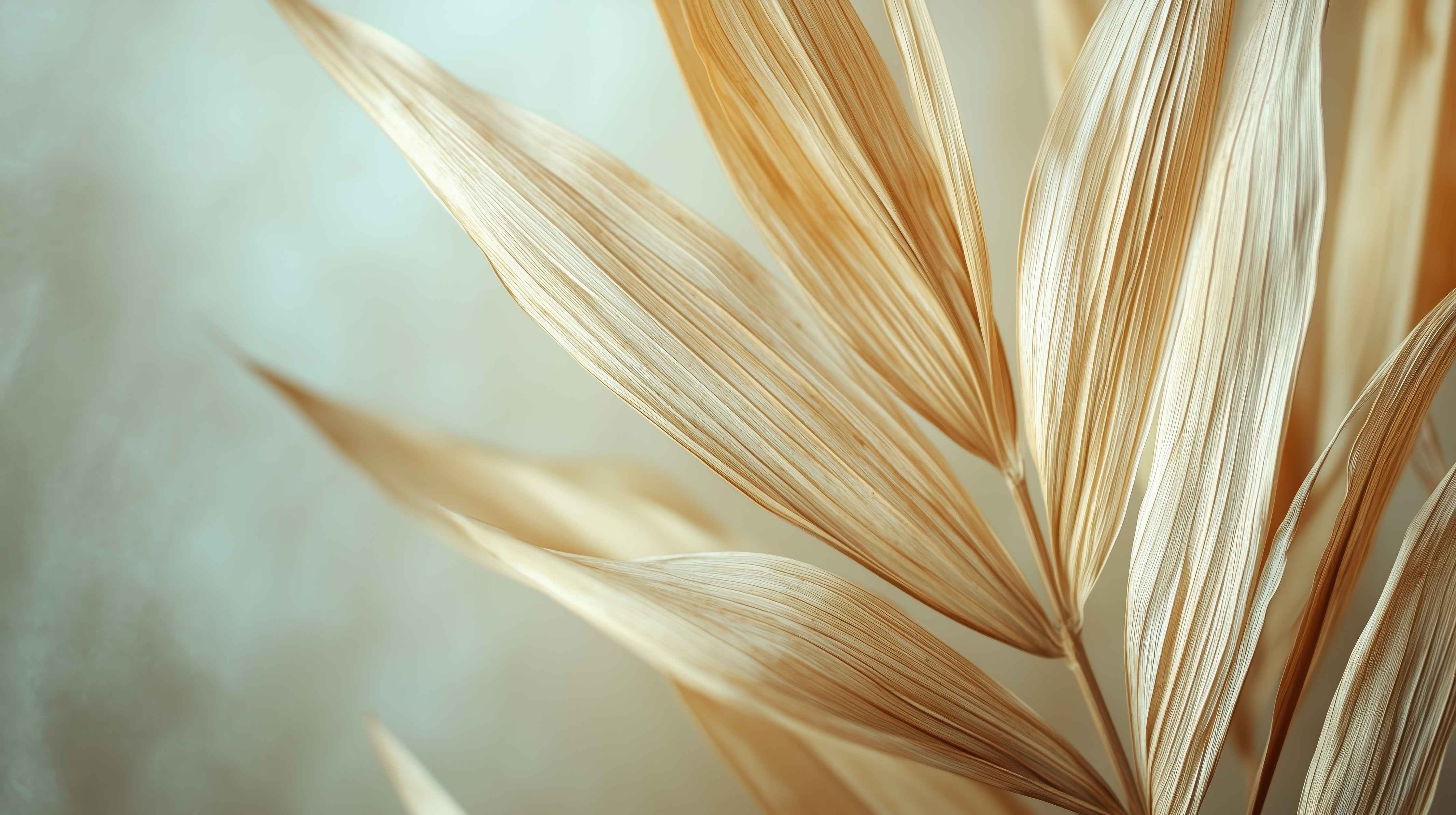 Große Wandbilder-Sanfte Naturdünen in hellem Beige