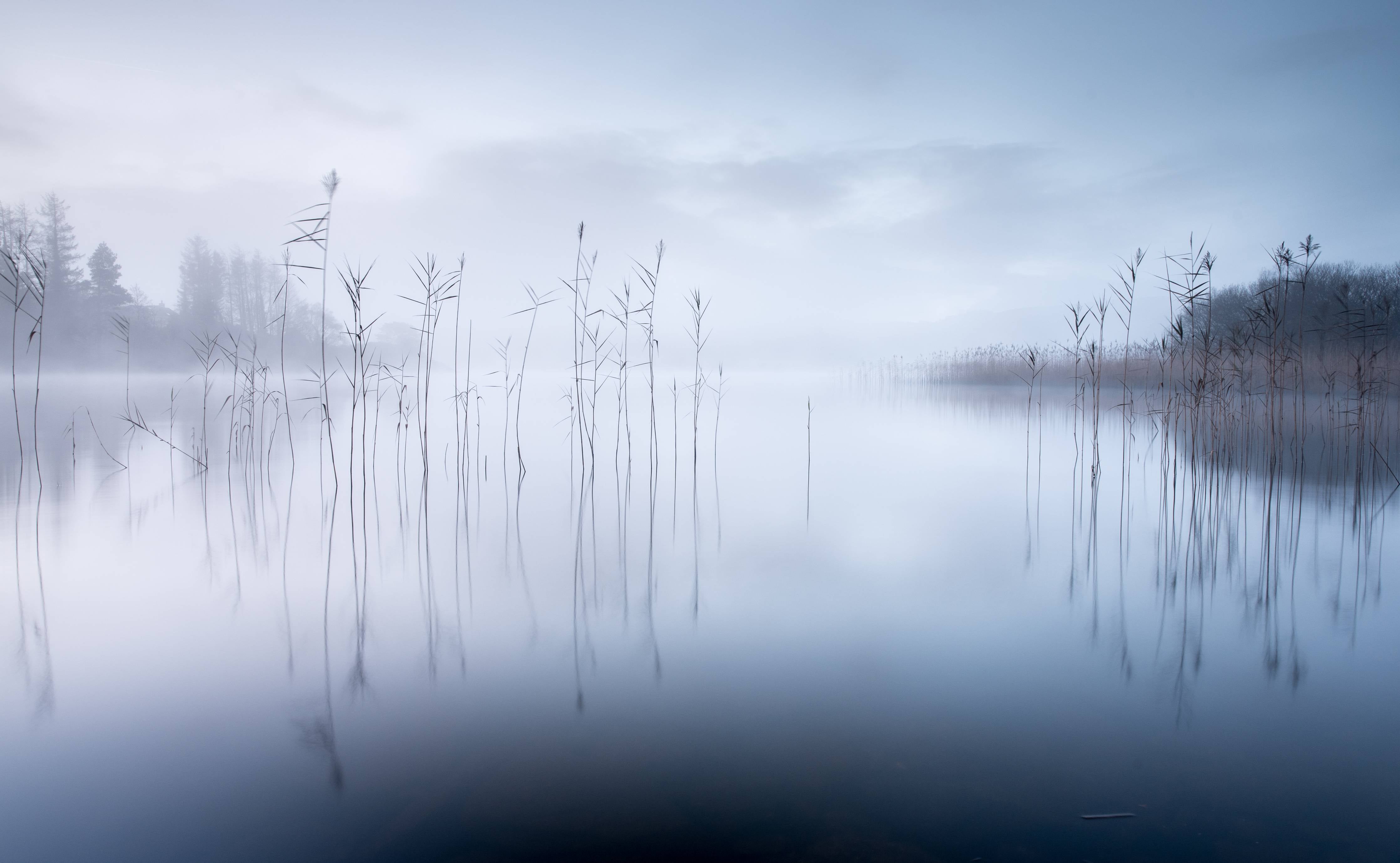 Große Wandbilder-Sanfte Nebellandschaft am Wasser