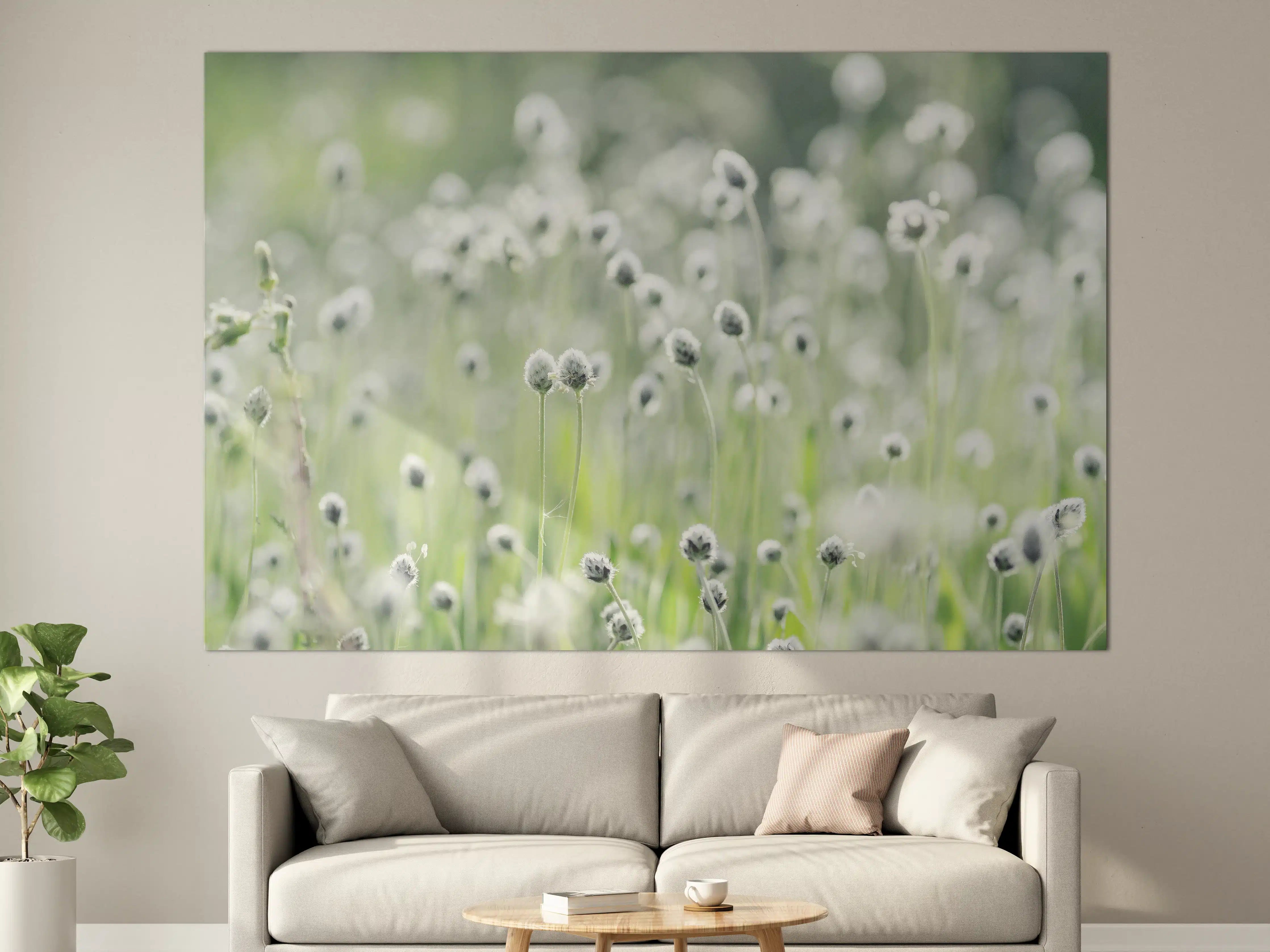 Große Wandbilder - Sanfte Wildblumenwiese