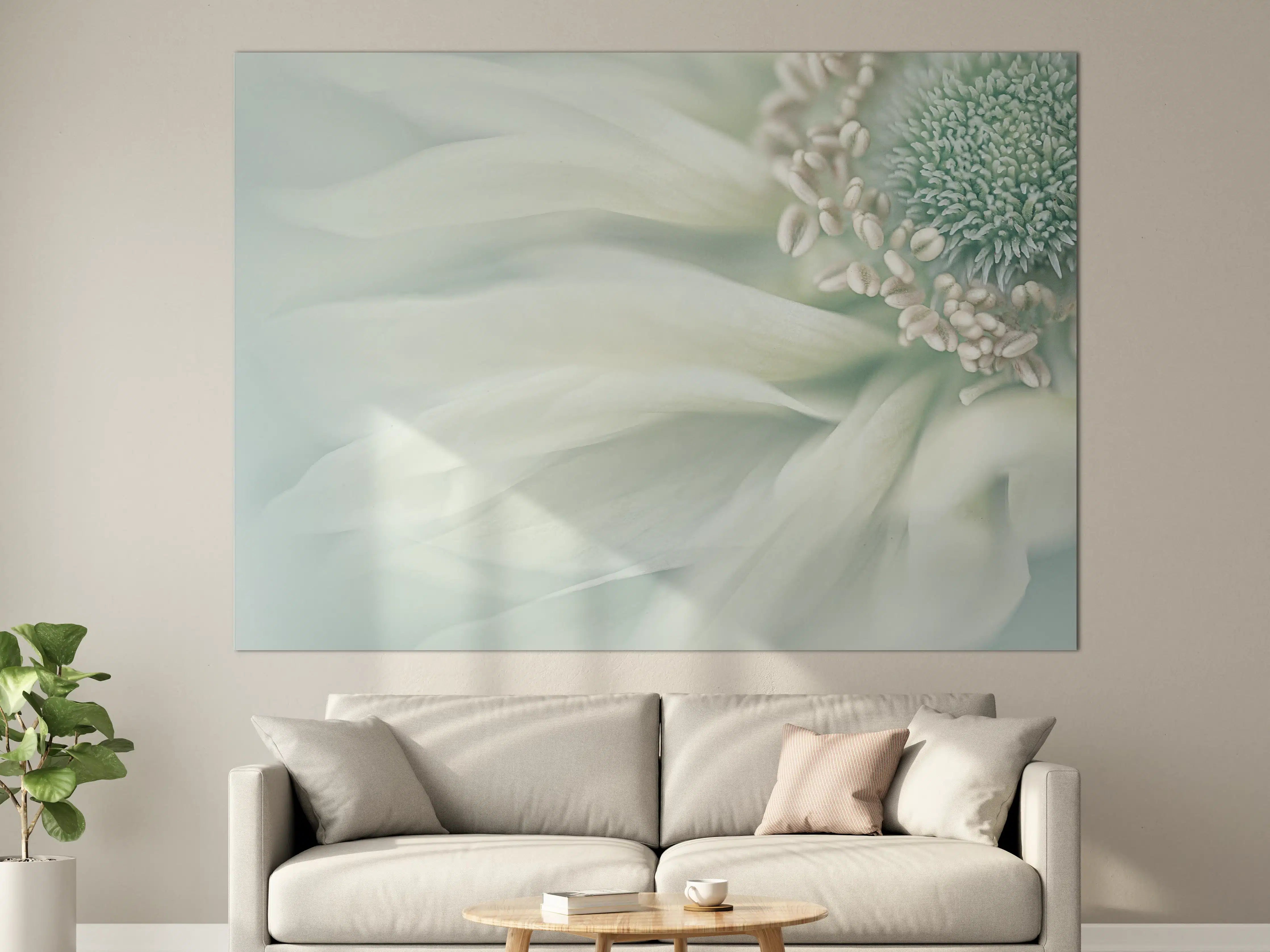 Große Wandbilder - Sanfte weiße Blume mit zarter Textur