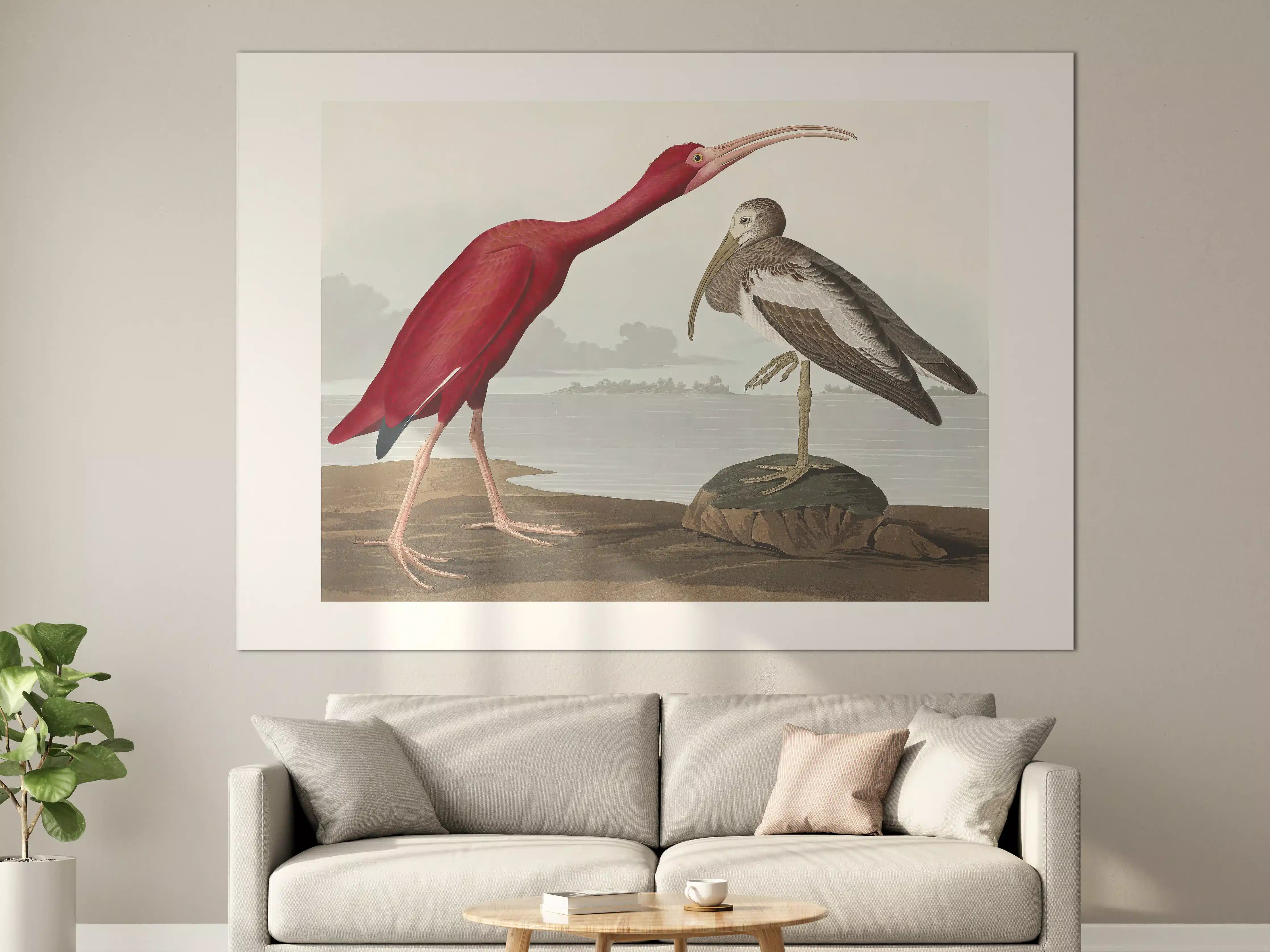 Große Wandbilder - Scharlachsichler Portrait - John James Audubon