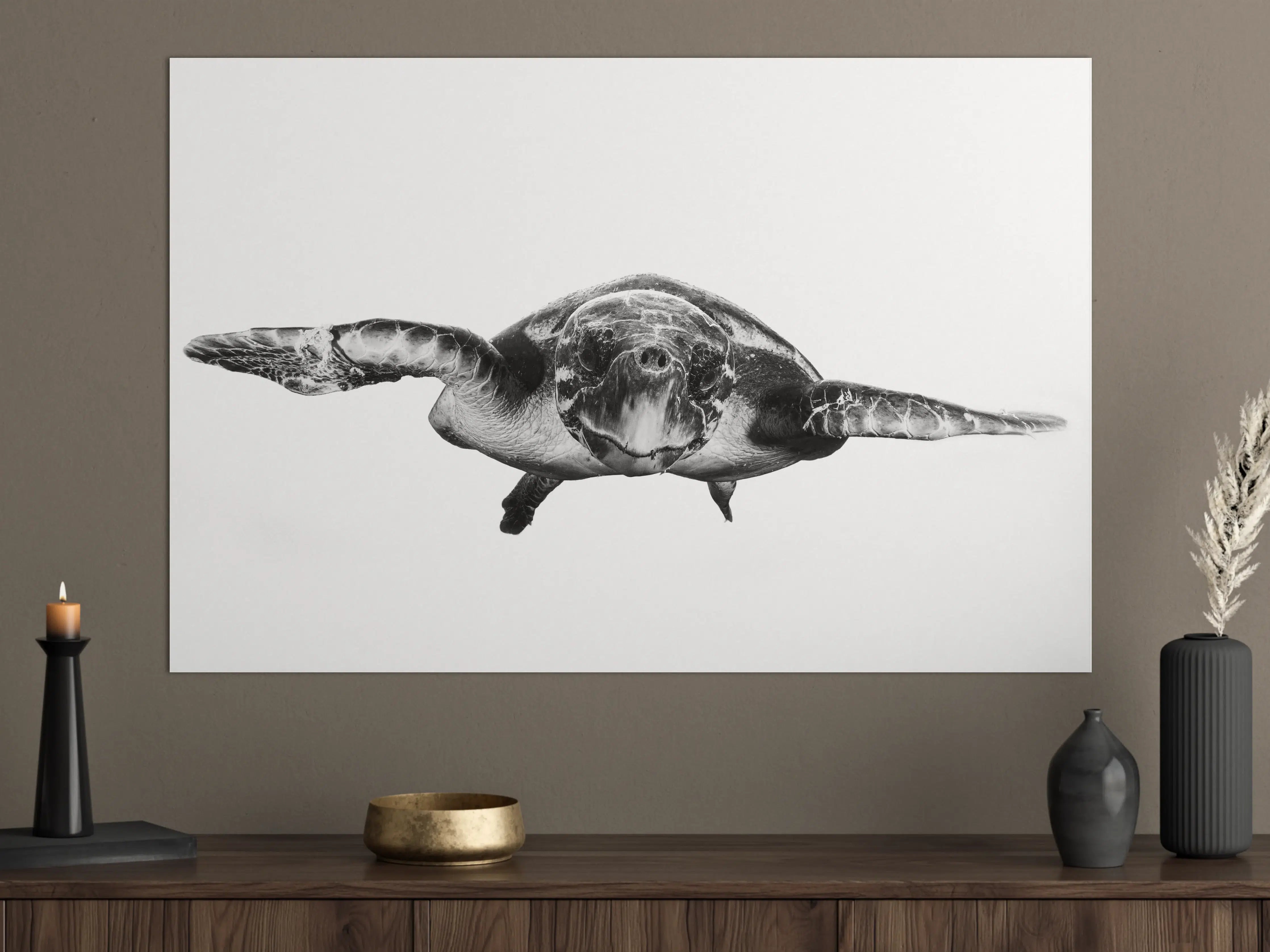 Große Wandbilder - Schildkröte