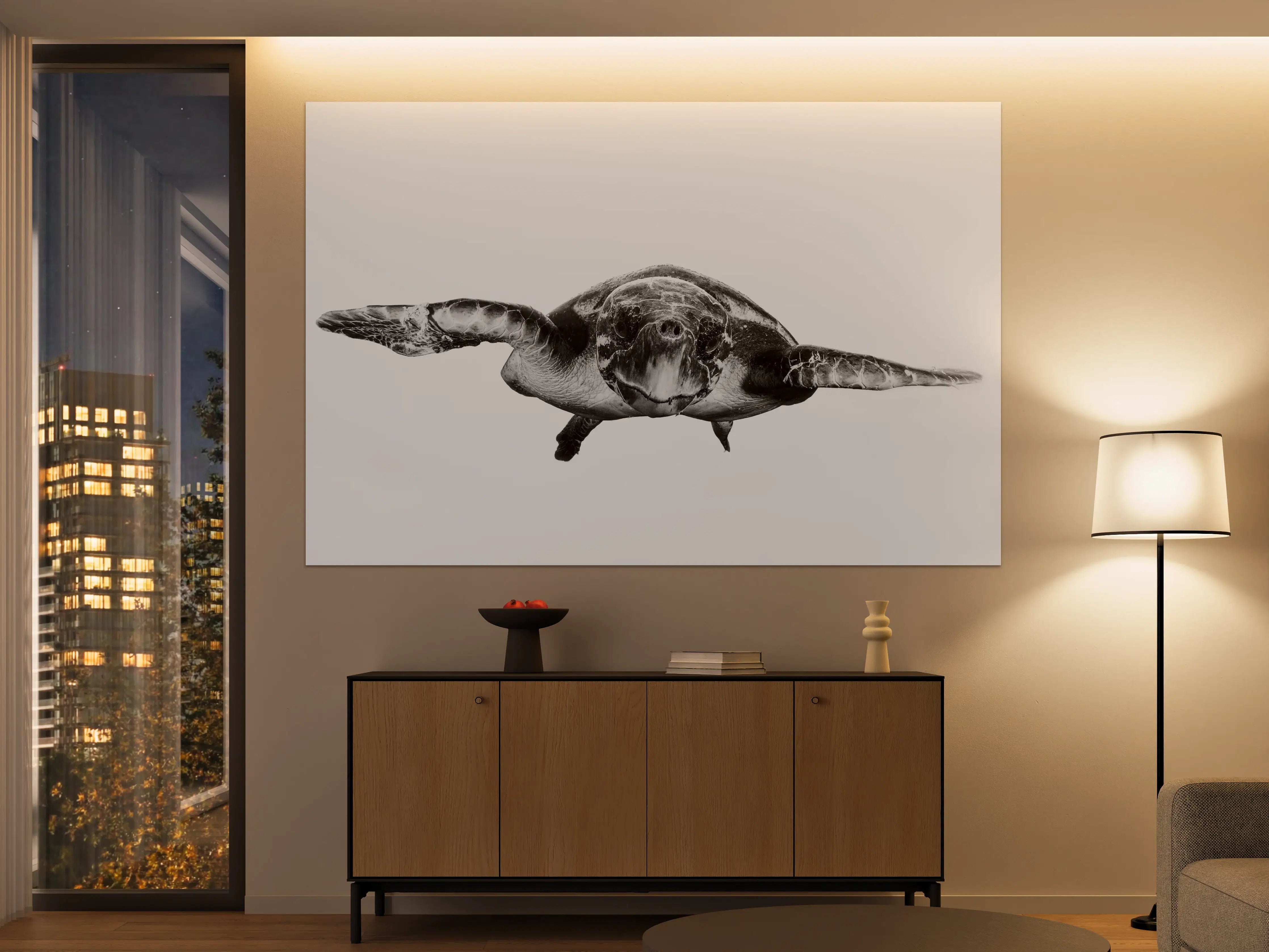 Große Wandbilder - Schildkröte