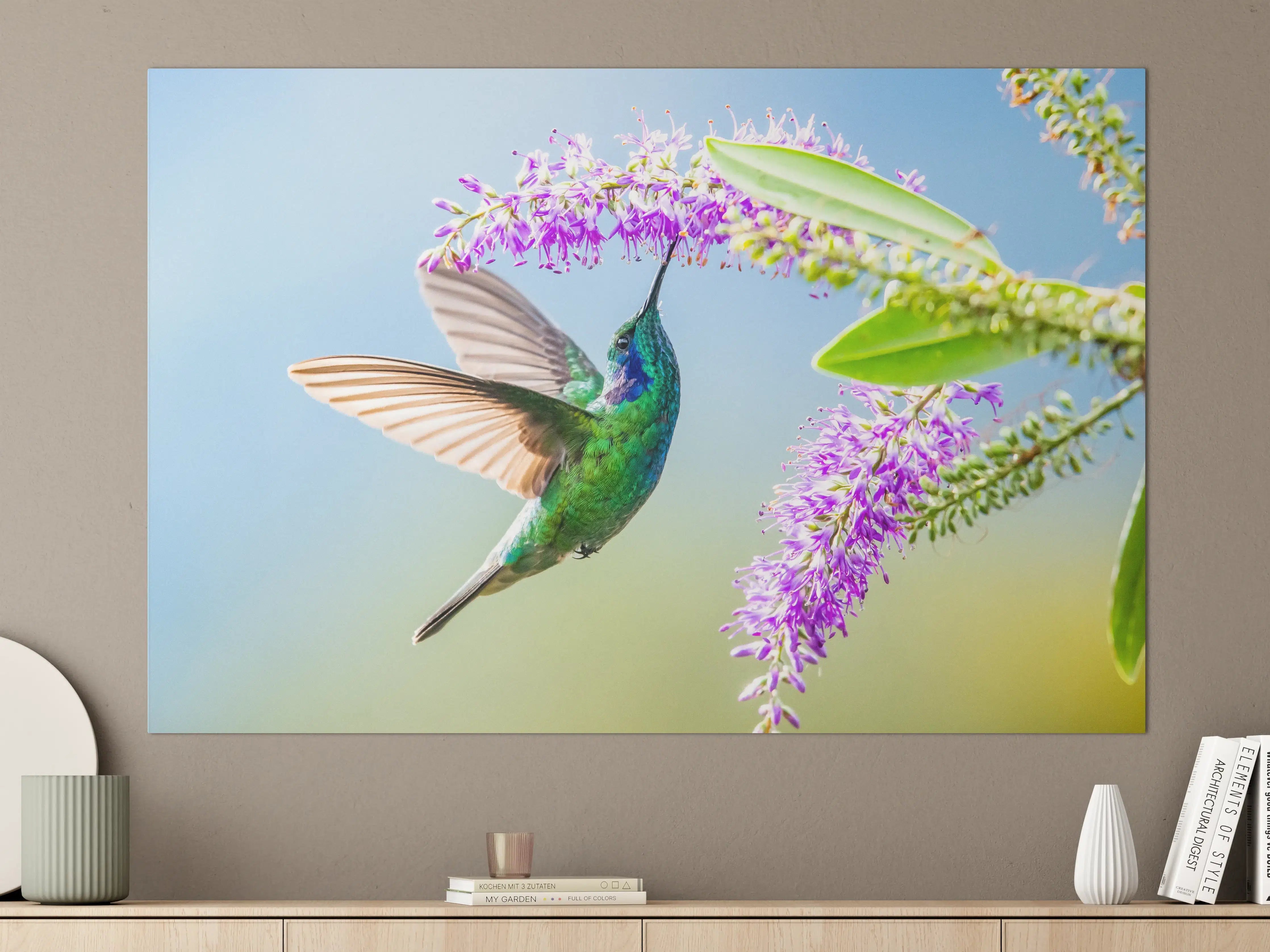 Große Wandbilder - Schimmernder Kolibri mit Lavendelblüten