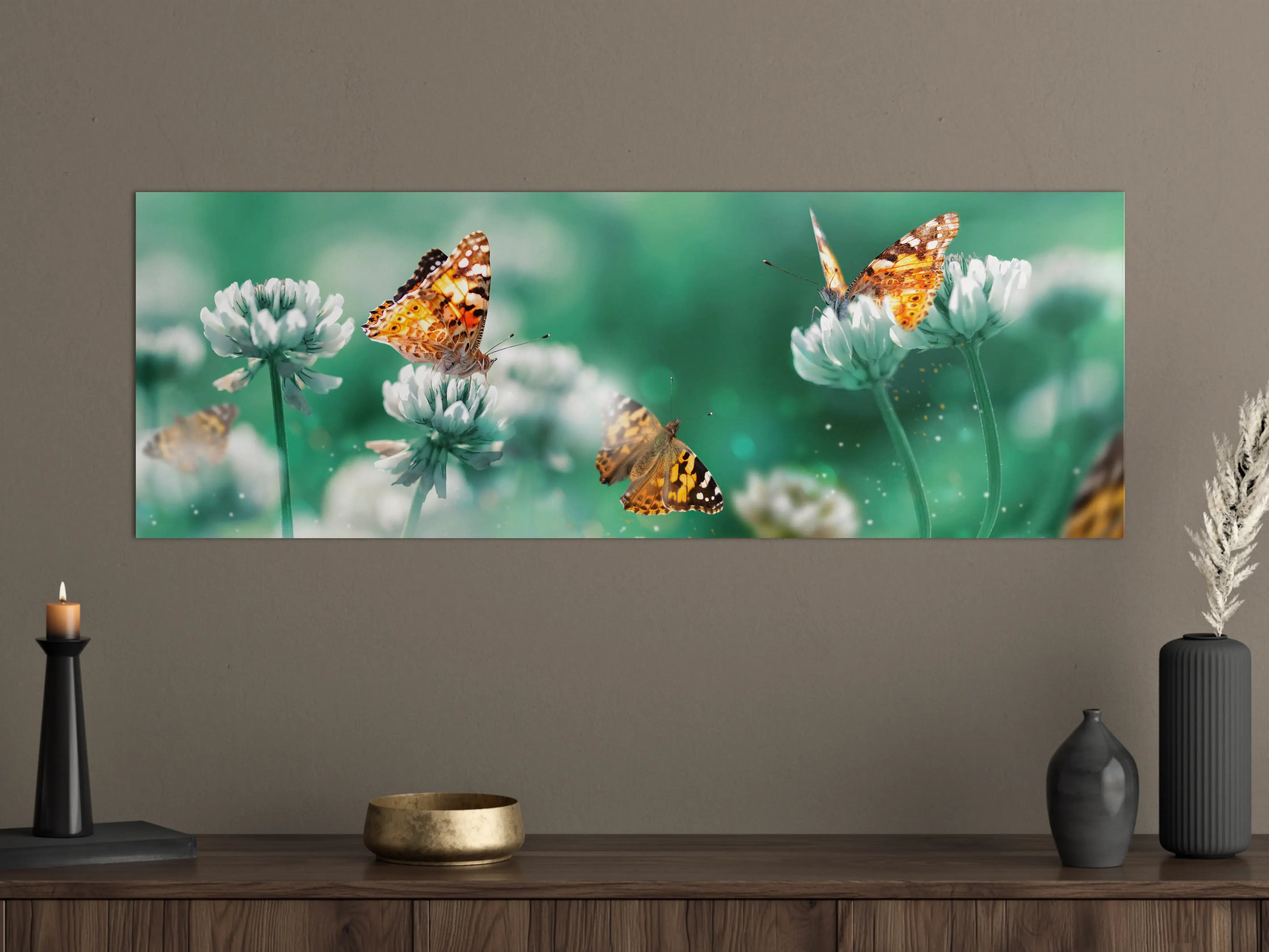 Große Wandbilder - Schmetterling auf Weißkleeblüten