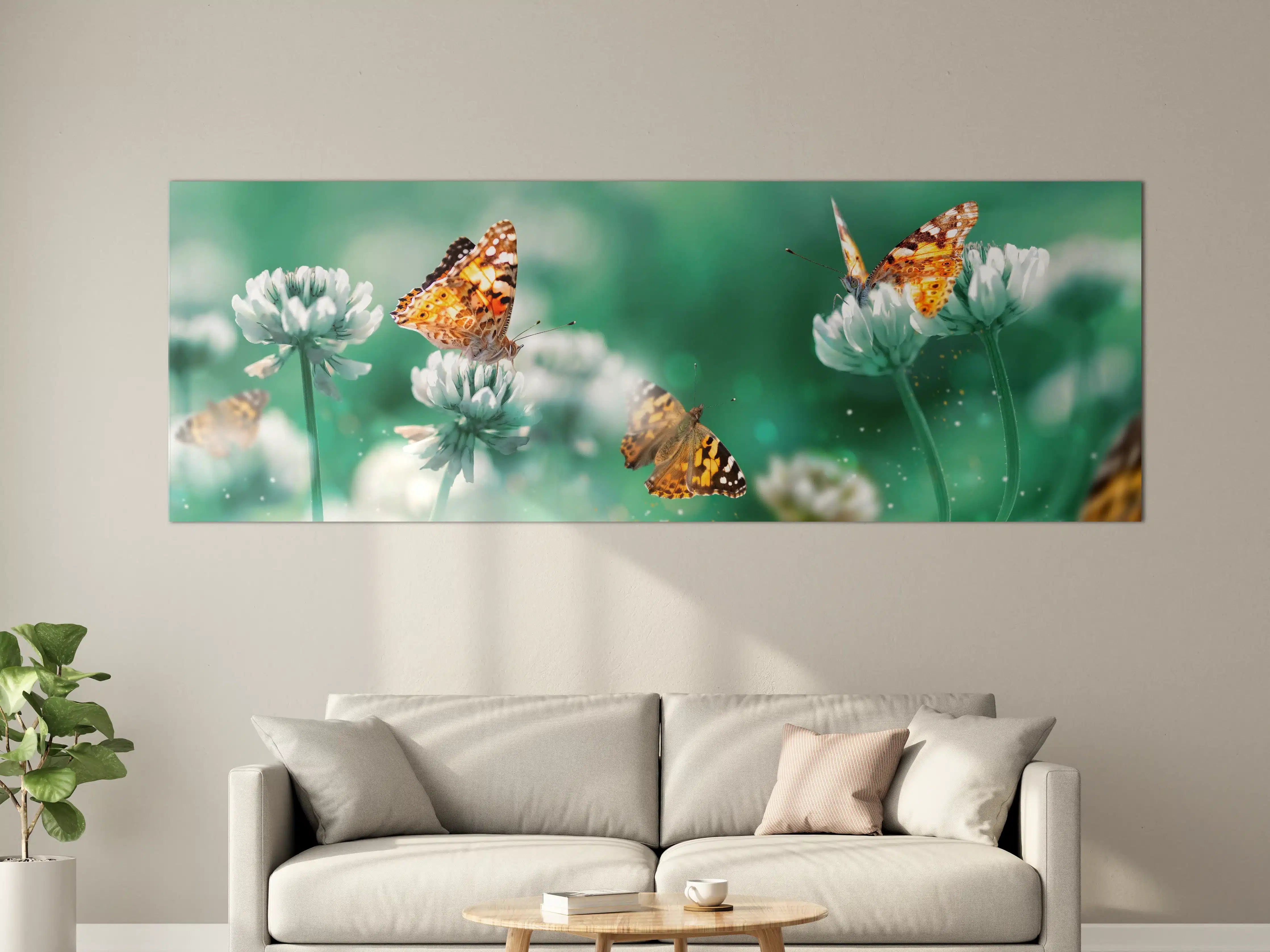 Große Wandbilder - Schmetterling auf Weißkleeblüten
