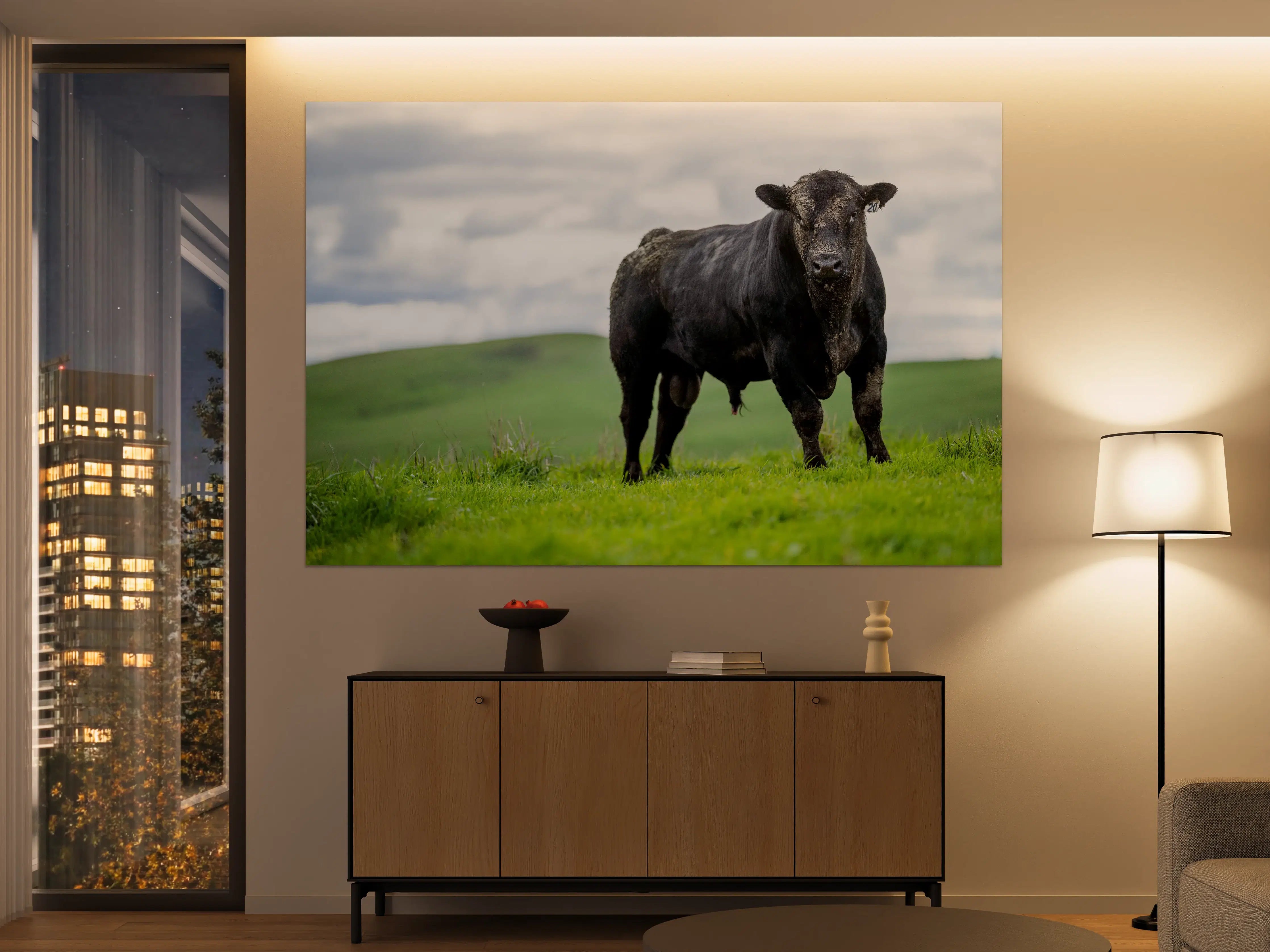 Große Wandbilder - Schmutziger Aberdeen Angus