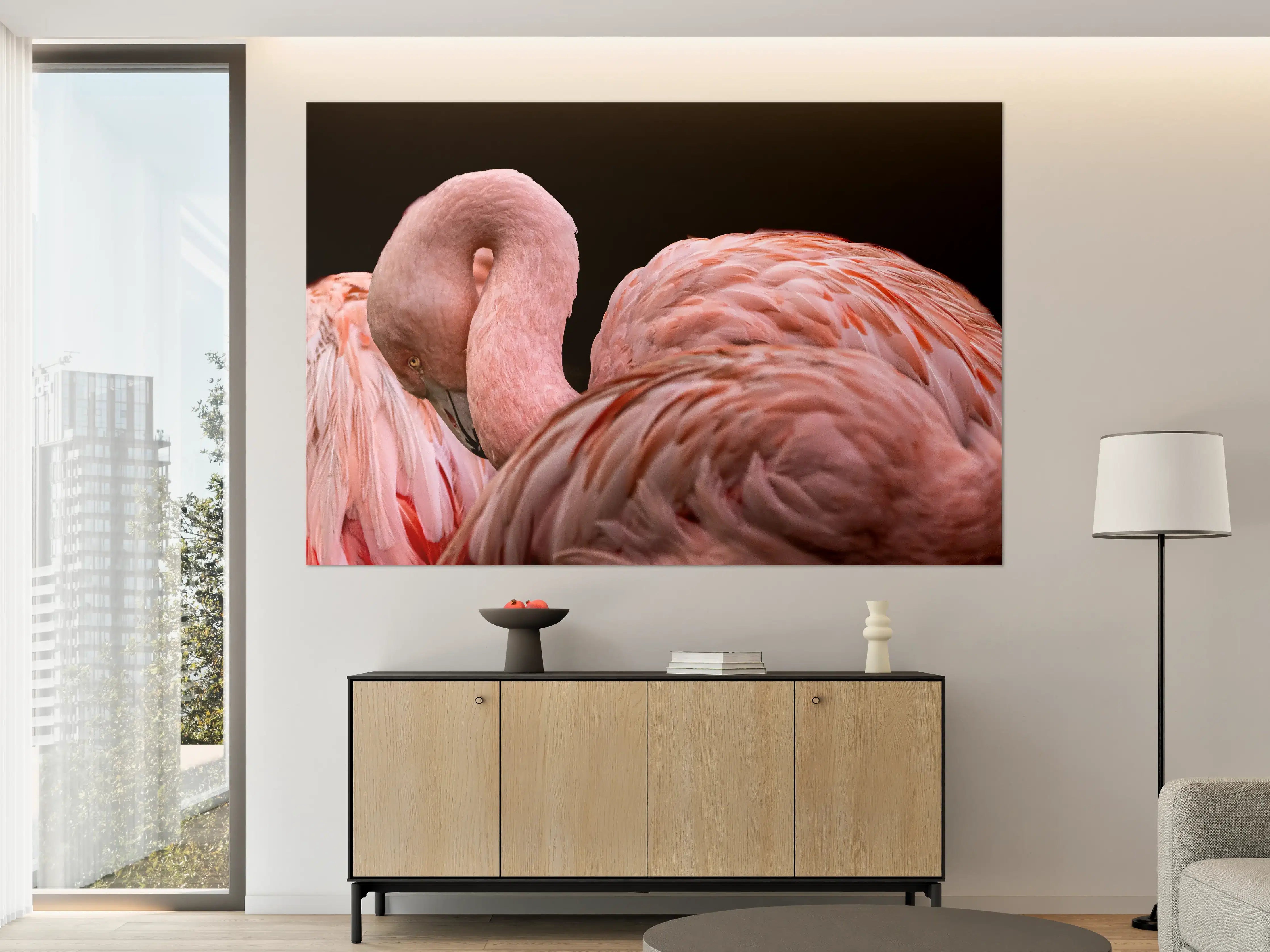 Große Wandbilder - Schnappschuss eines Flamingo