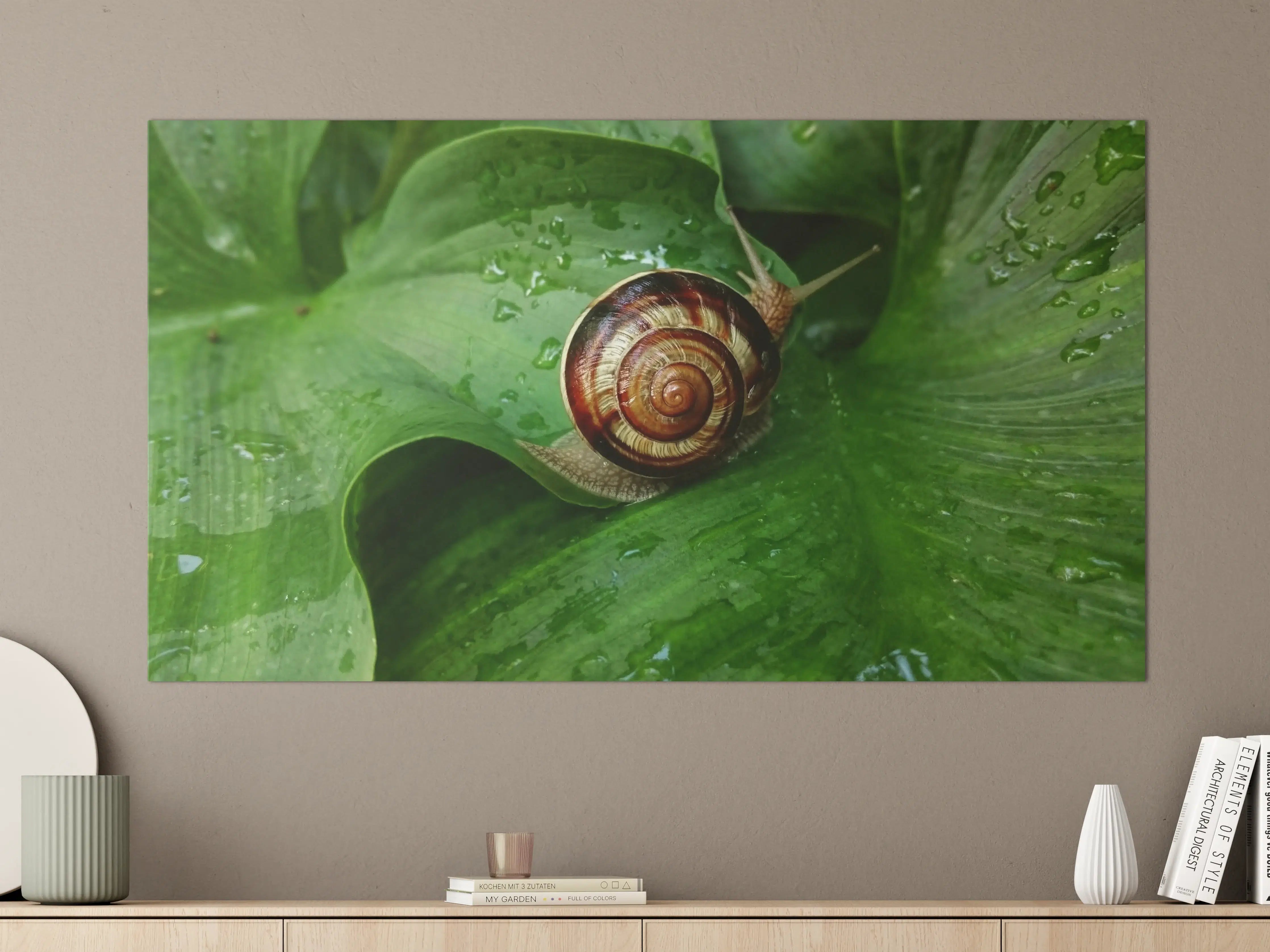 Große Wandbilder - Schnecke auf einem nassen Blatt
