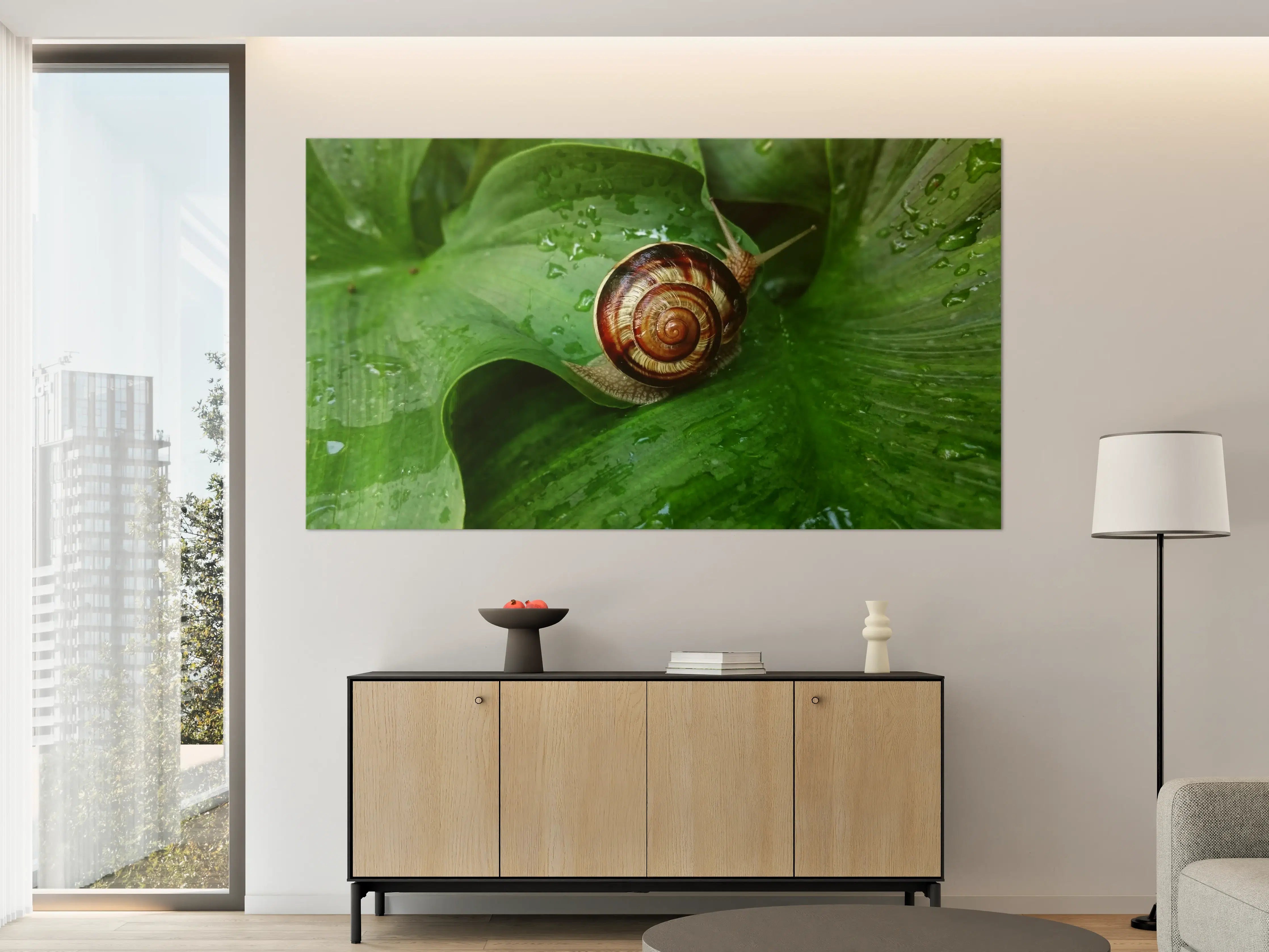 Große Wandbilder - Schnecke auf einem nassen Blatt