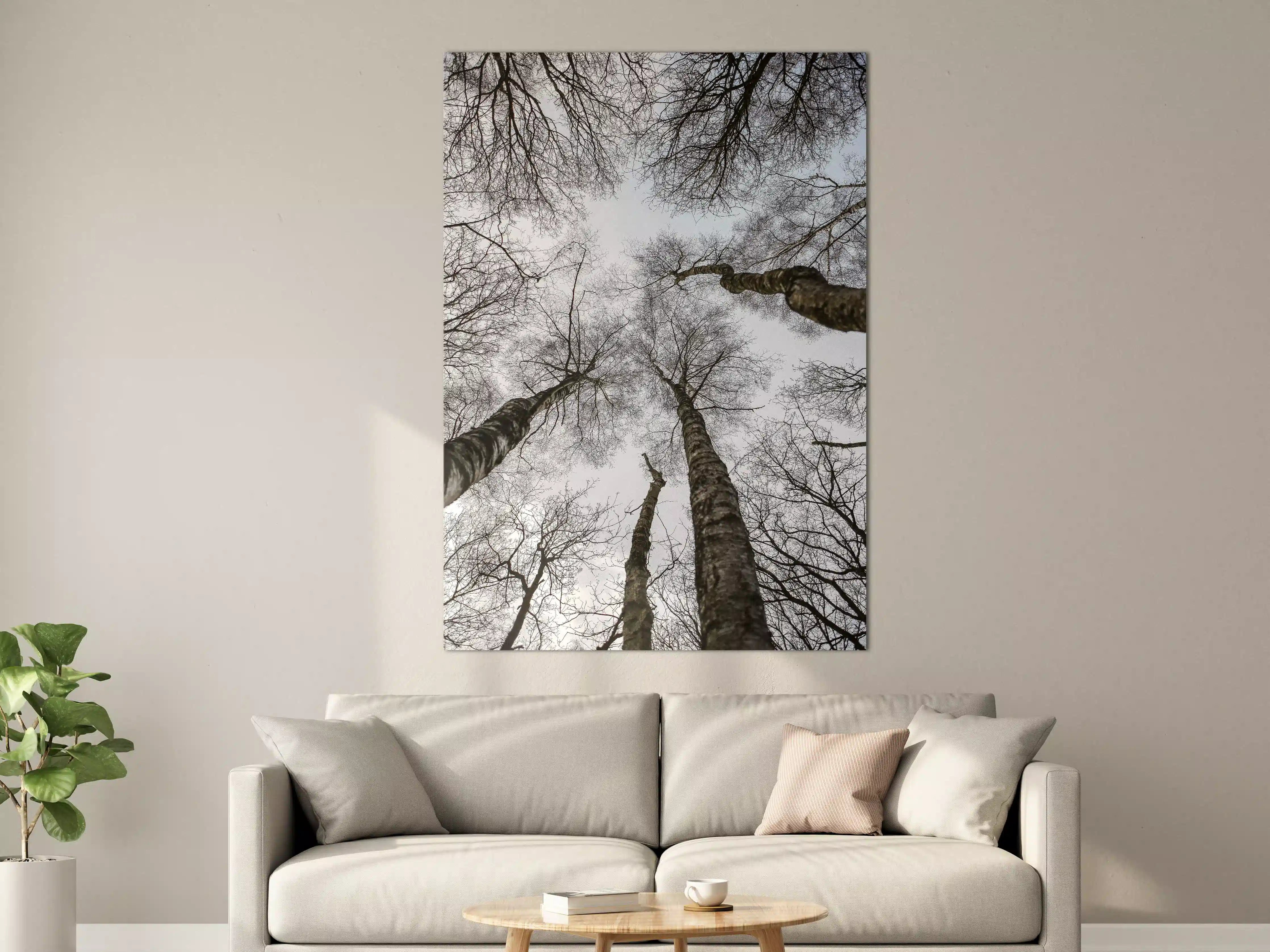 Große Wandbilder - Schnee Wald