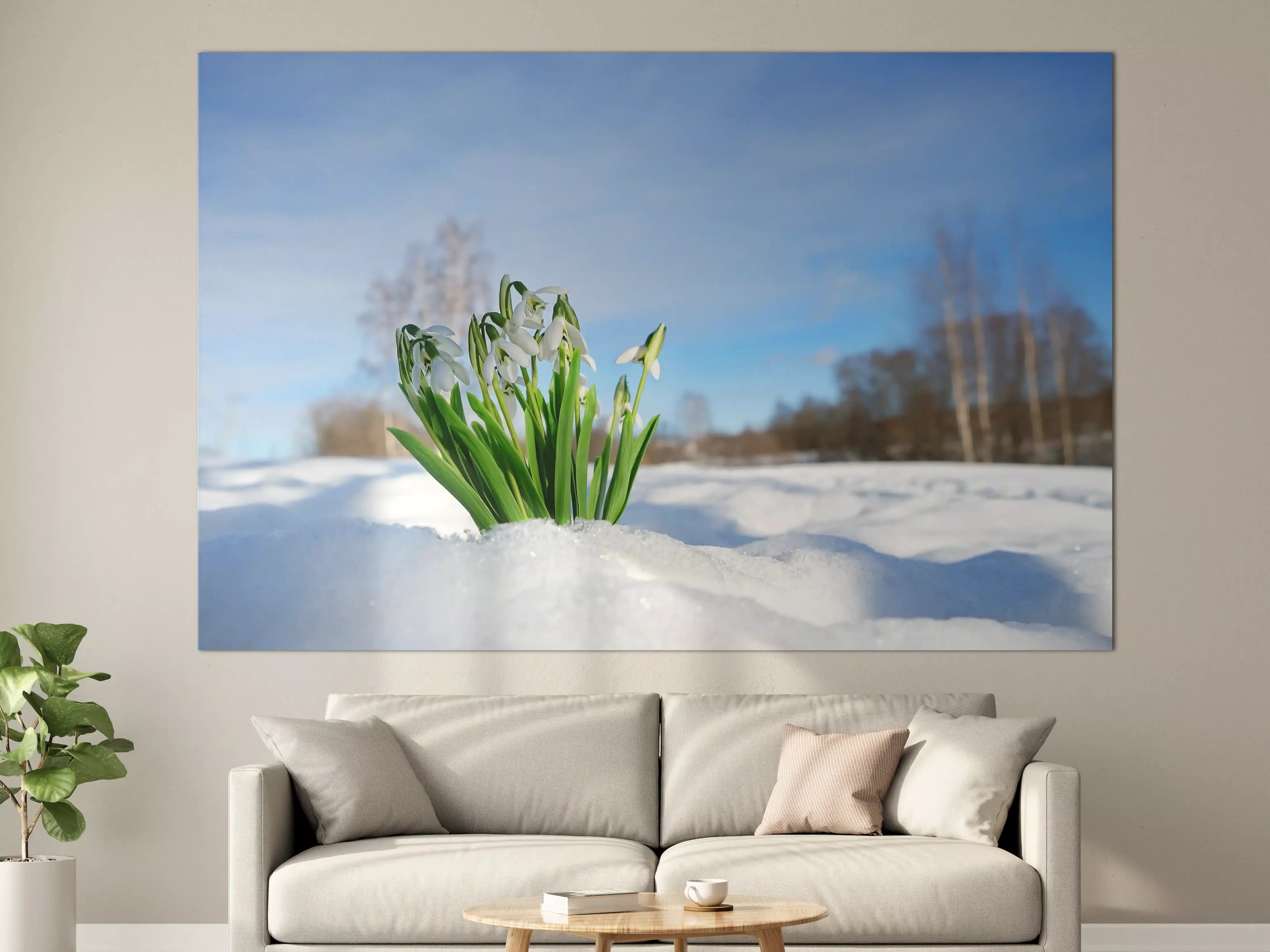 Große Wandbilder - Schneeglöckchen im Schnee