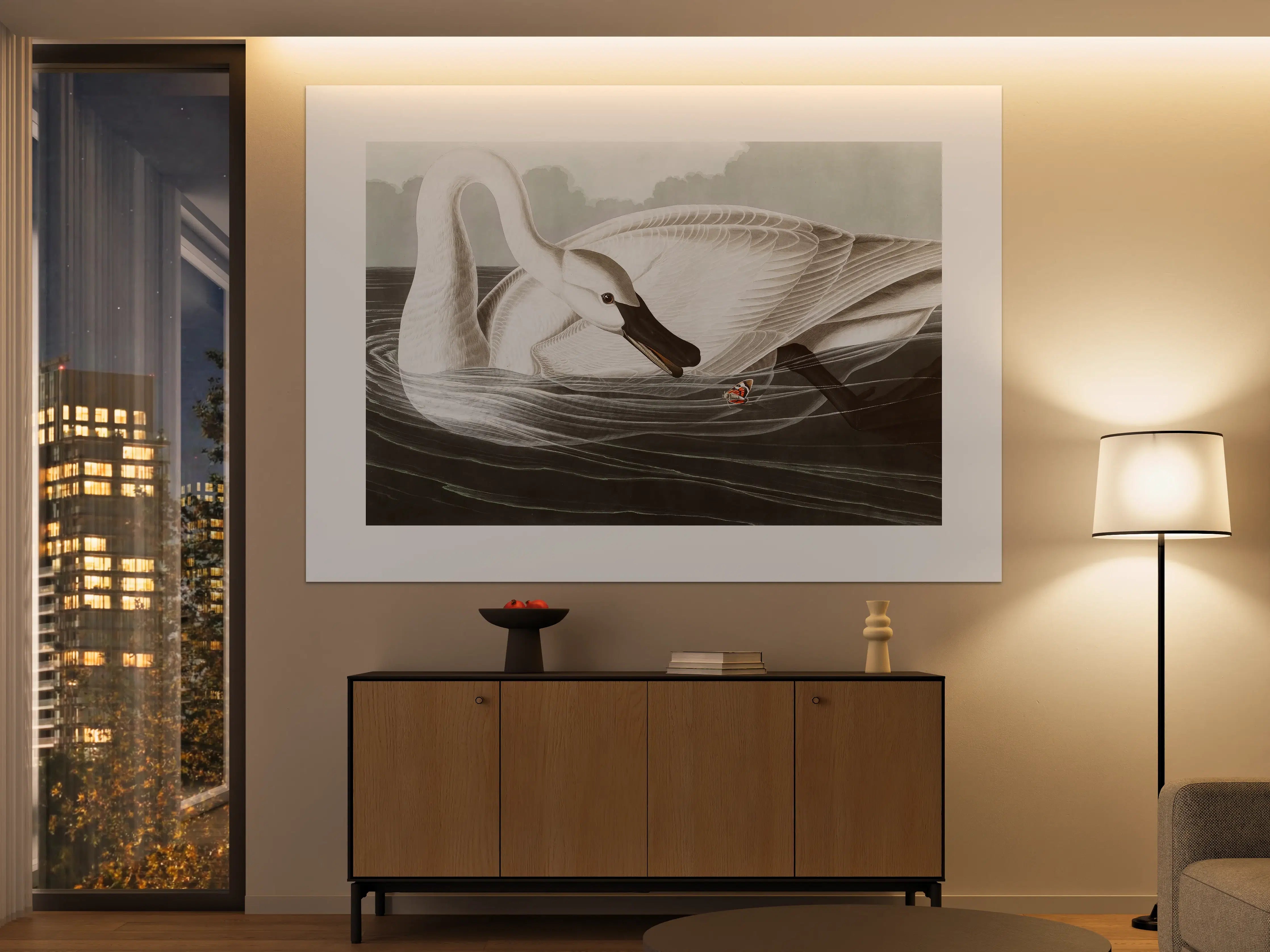 Große Wandbilder - Schneeweißer Schwan - John James Audubon