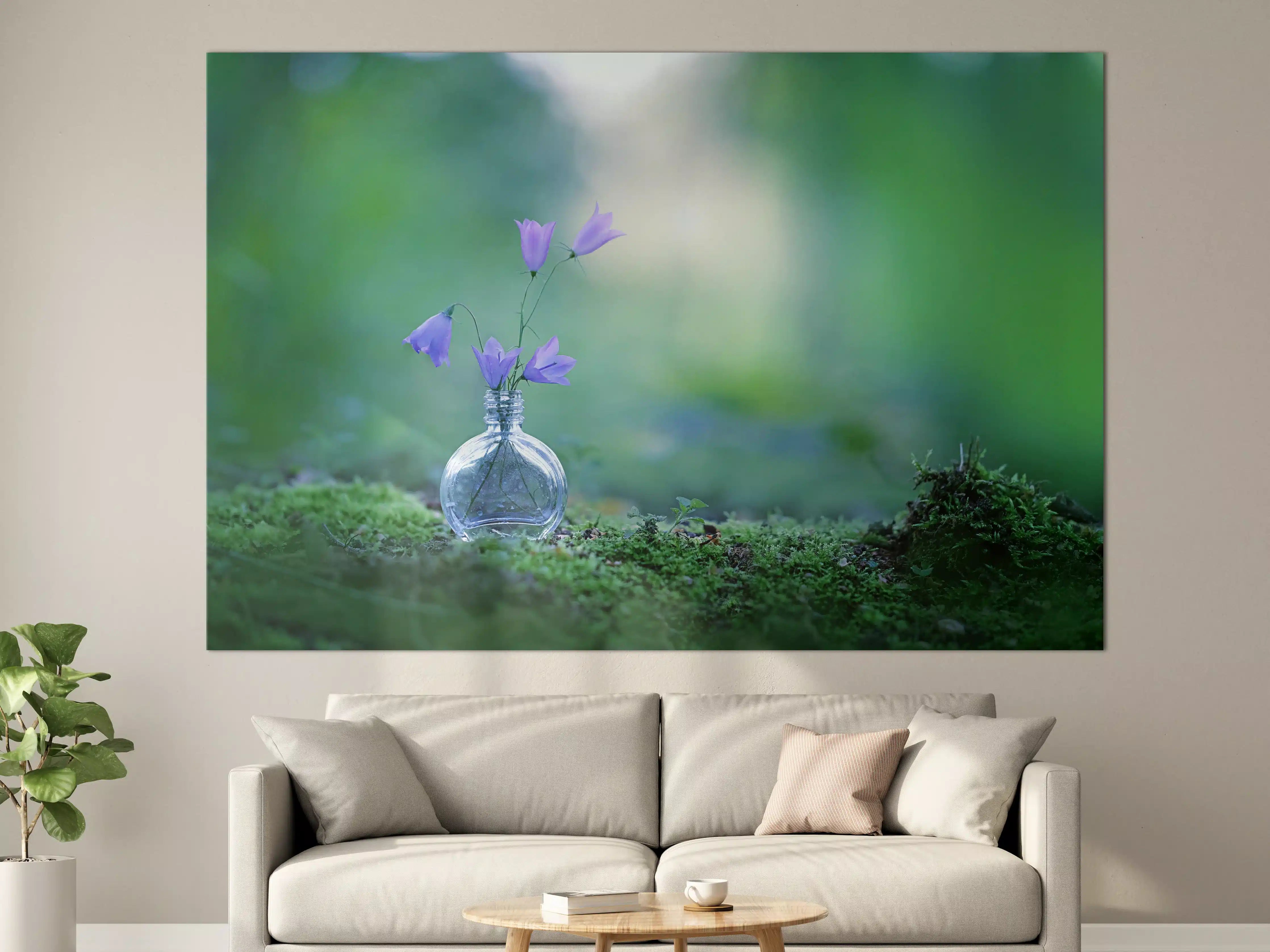 Große Wandbilder - Schöne campanula Blumen