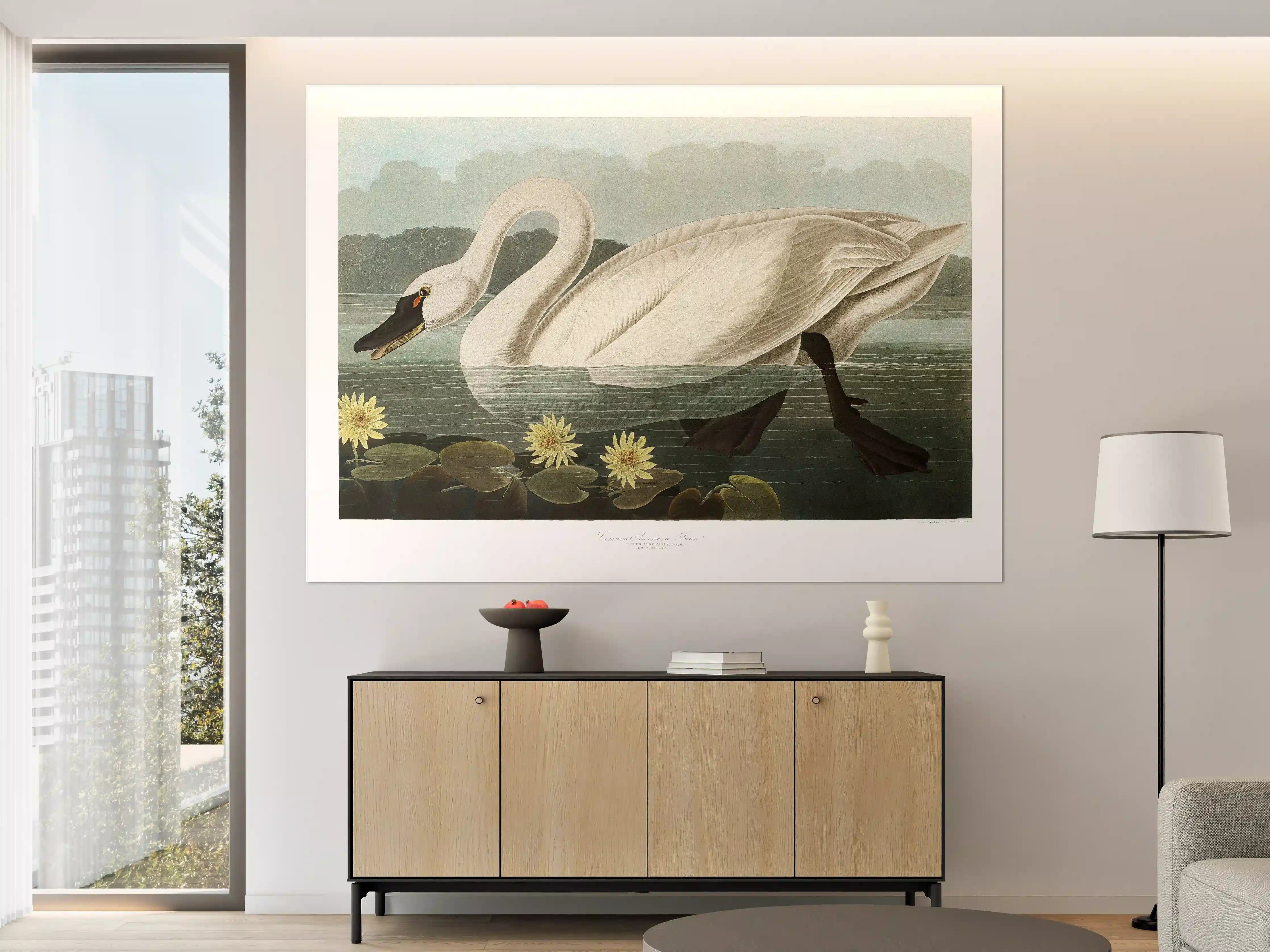Große Wandbilder - Schwan Portait - Robert Havell 