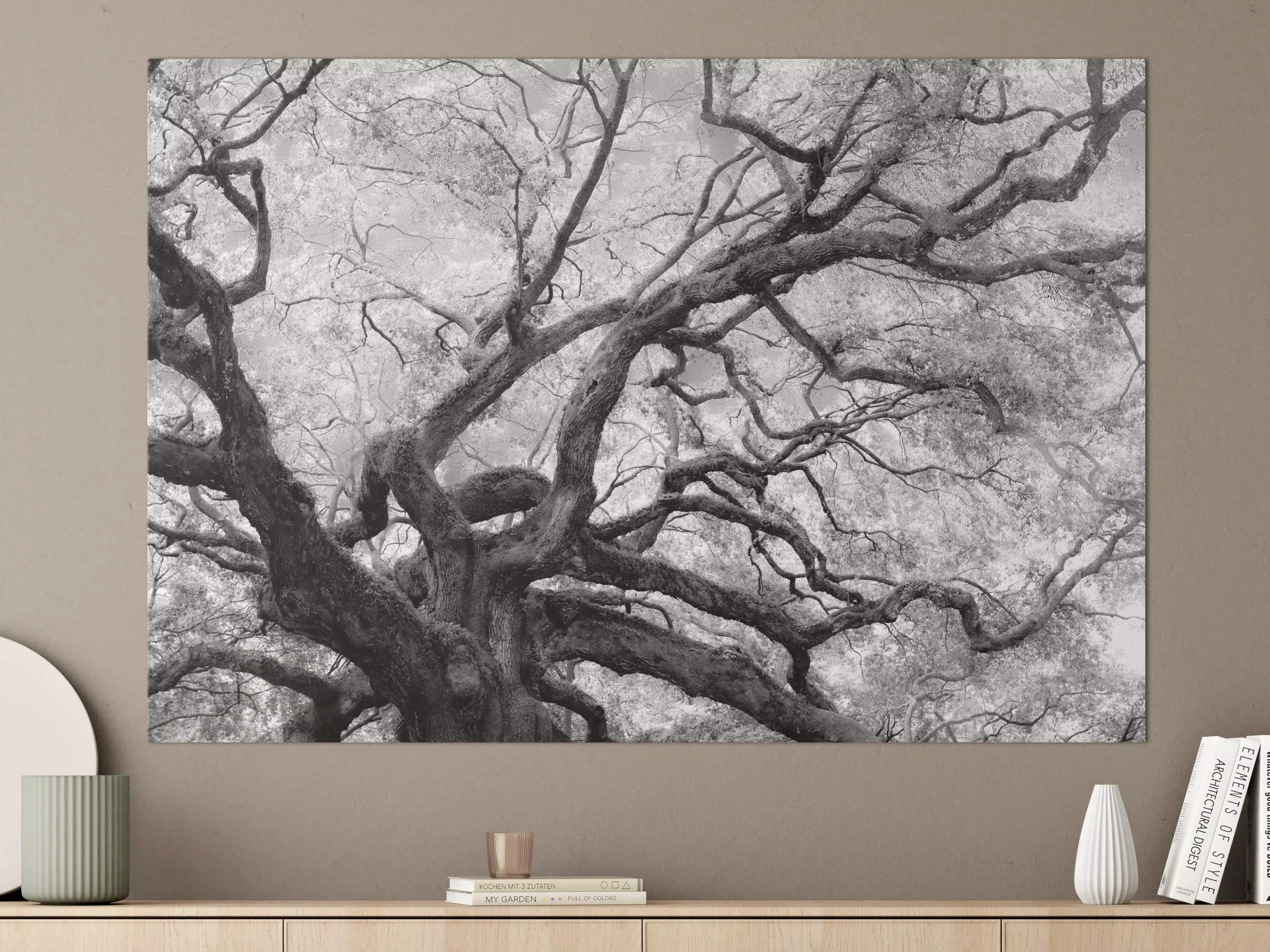 Große Wandbilder - Schwarz-Weiß-Baum in mystischer Atmosphäre