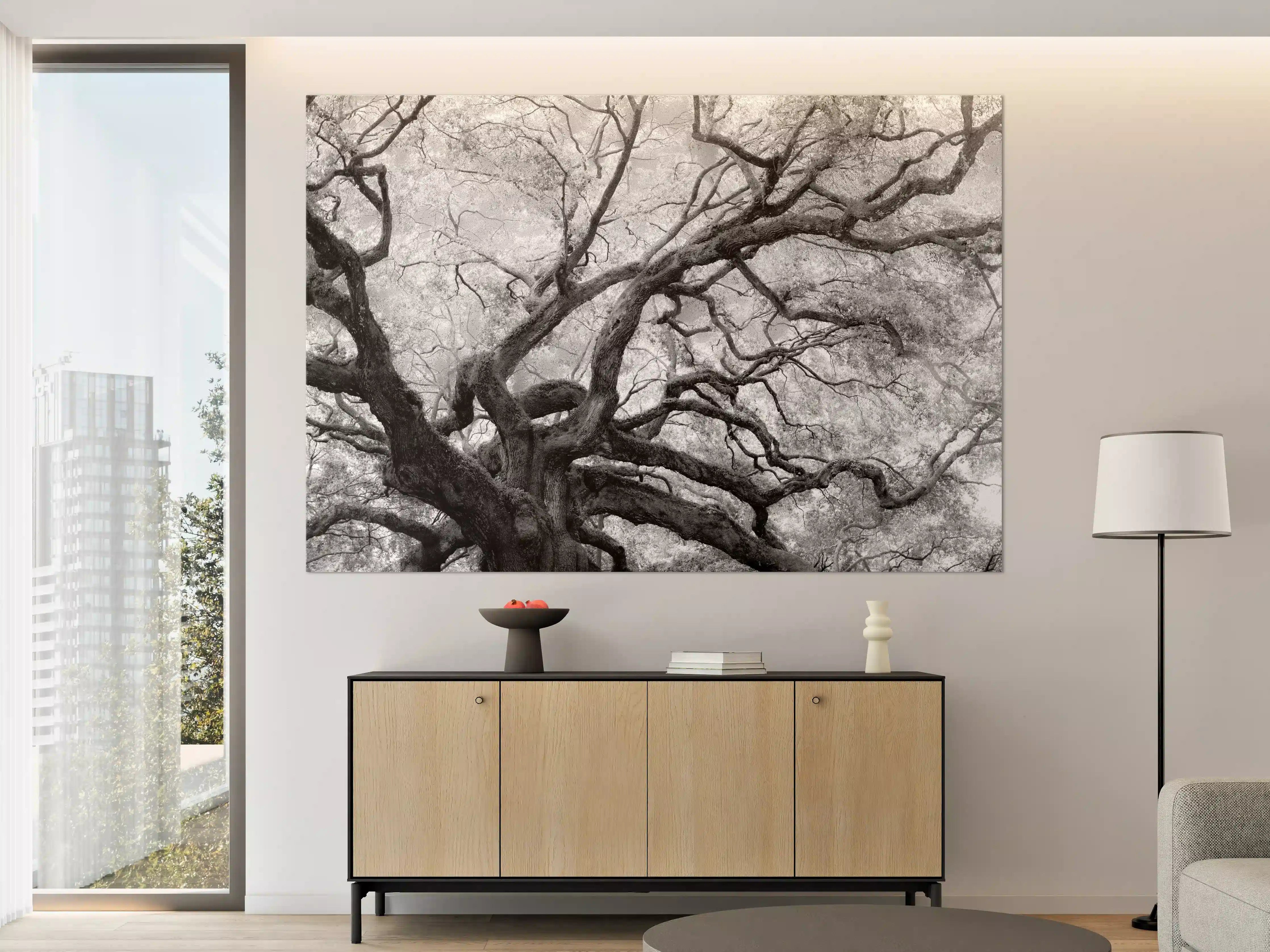 Große Wandbilder - Schwarz-Weiß-Baum in mystischer Atmosphäre