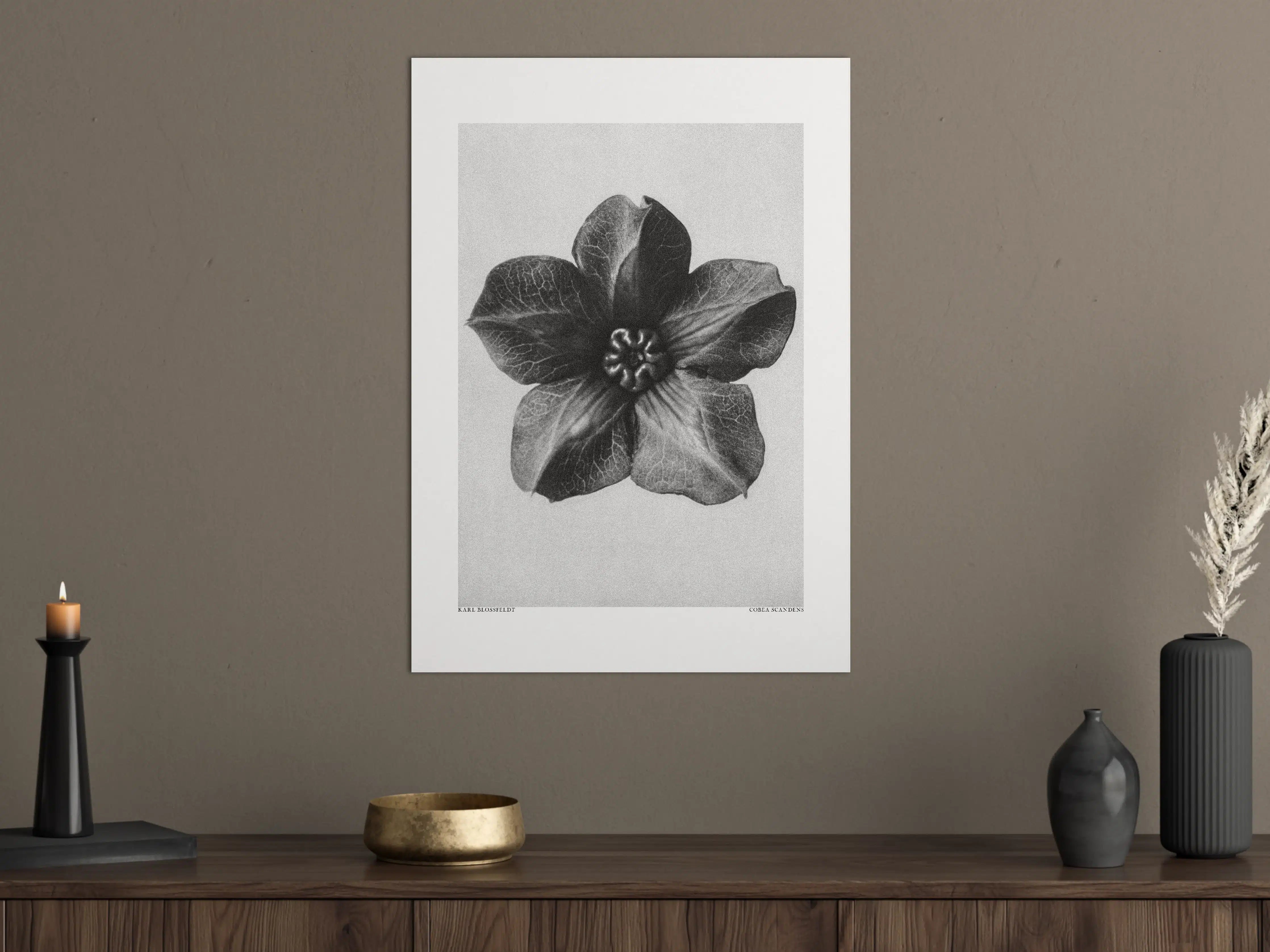 Große Wandbilder - Schwarz-Weiß-Blumen-Illusion